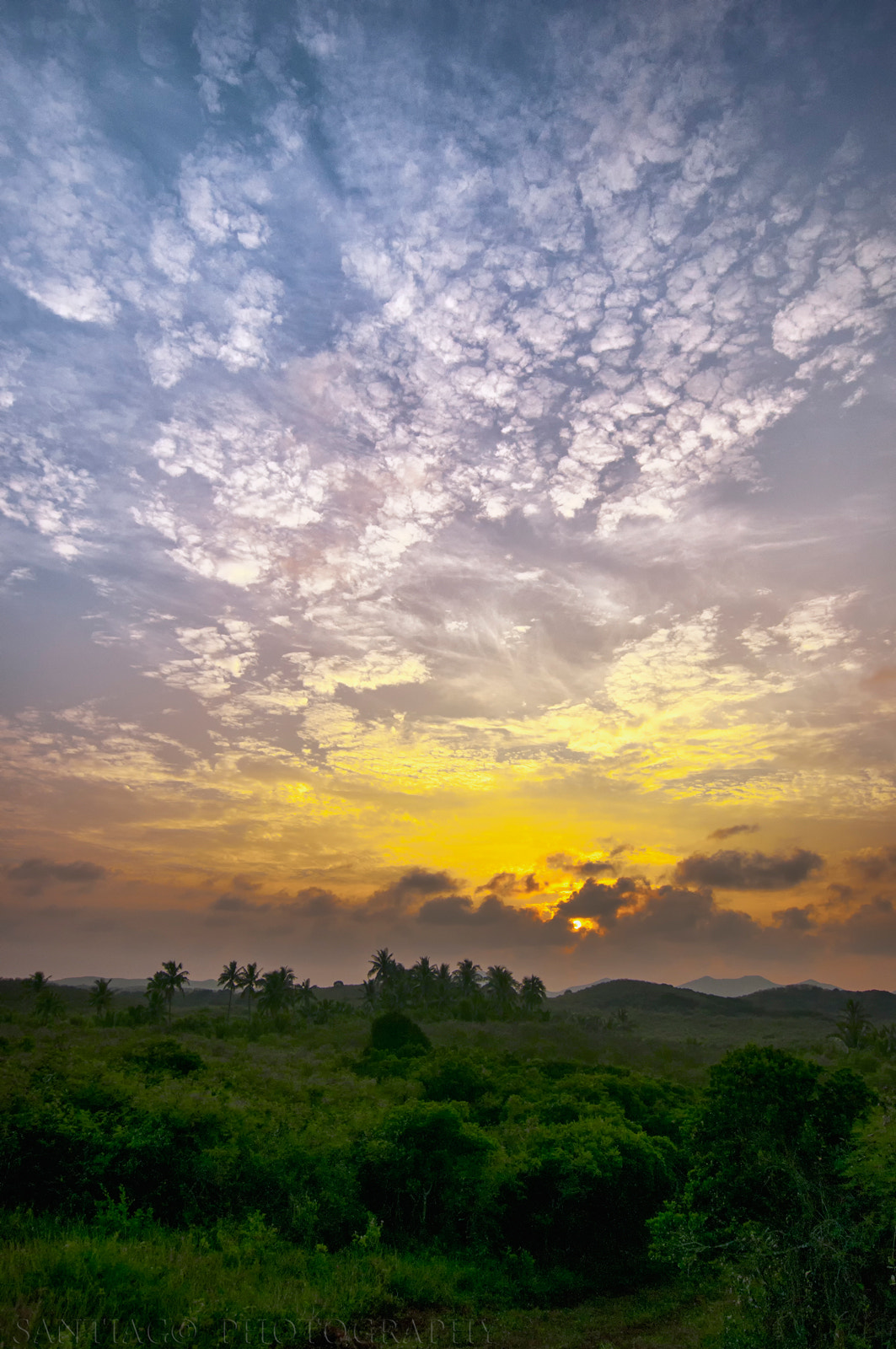 Nikon D300 + Sigma 10-20mm F3.5 EX DC HSM sample photo. Morning mood photography