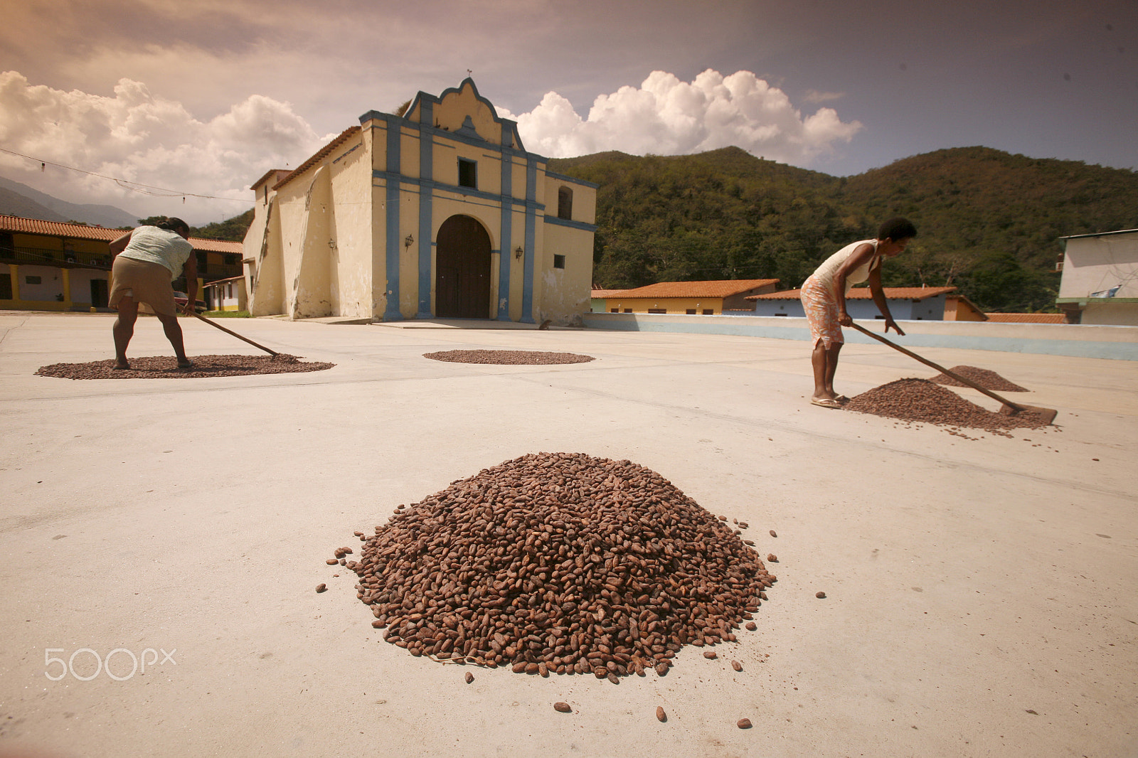 Canon EOS 5D + Canon EF 16-35mm F2.8L USM sample photo. South america venezuela chuao cacao plantation photography