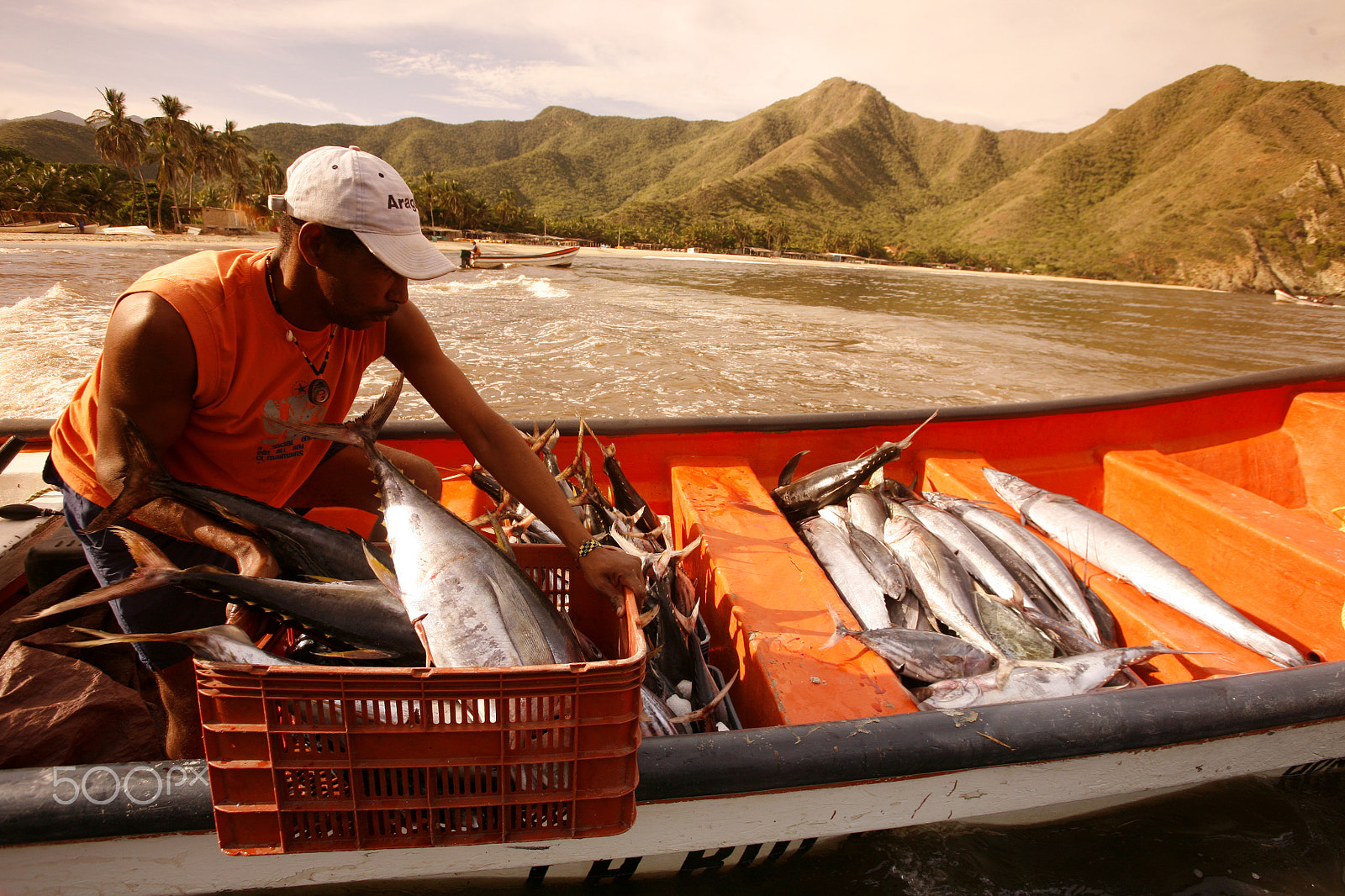 Canon EOS 5D + Canon EF 16-35mm F2.8L USM sample photo. South america venezuela chuao coast photography