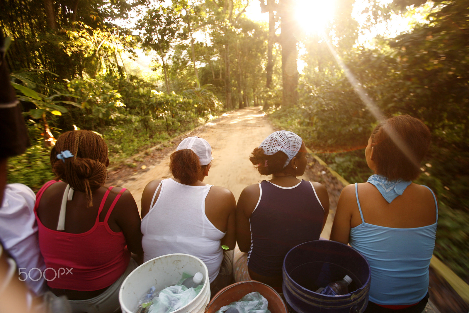 Canon EOS 5D + Canon EF 16-35mm F2.8L USM sample photo. South america venezuela chuao cacao plantation photography