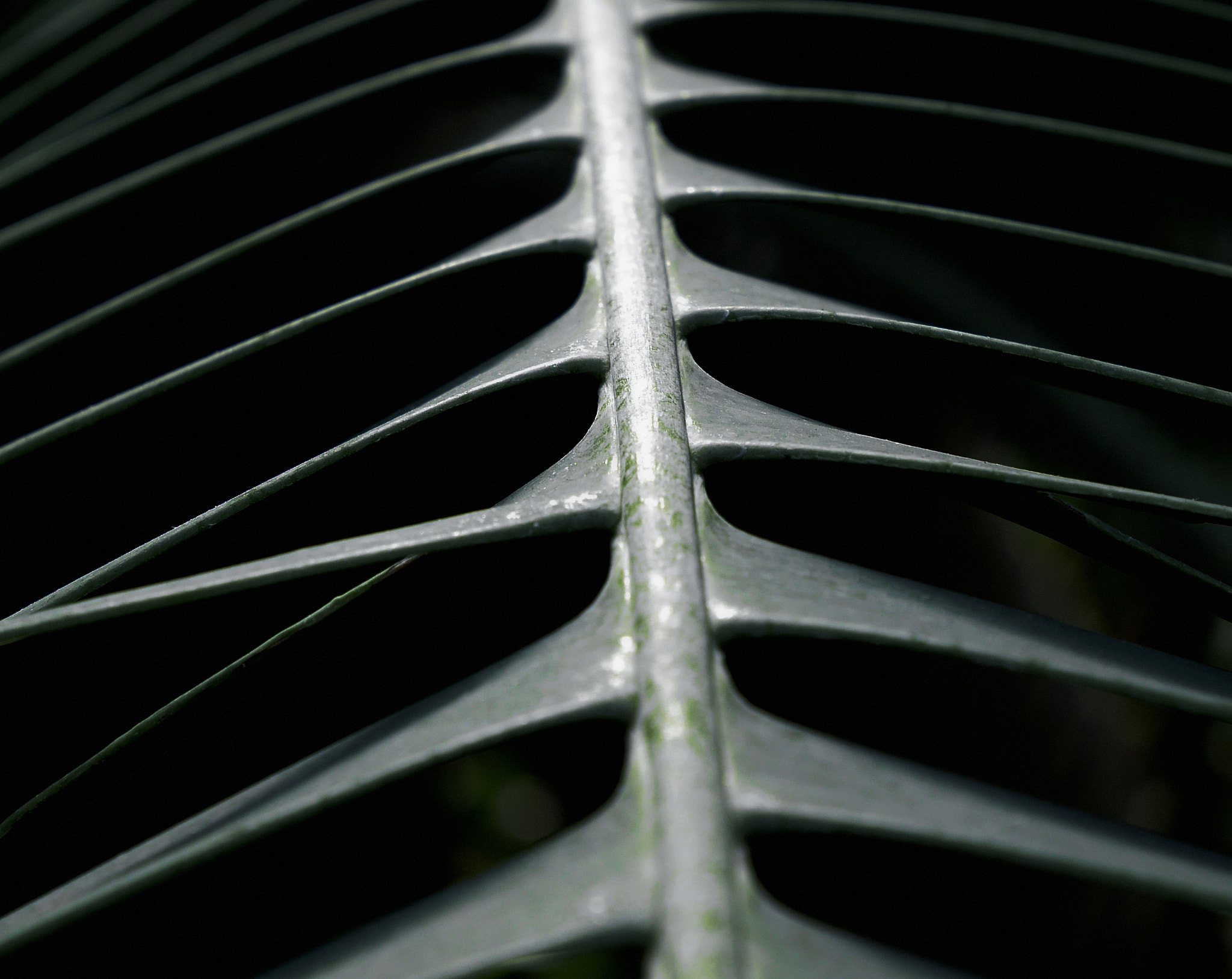 Panasonic DMC-GM1S sample photo. Nonconformist photography