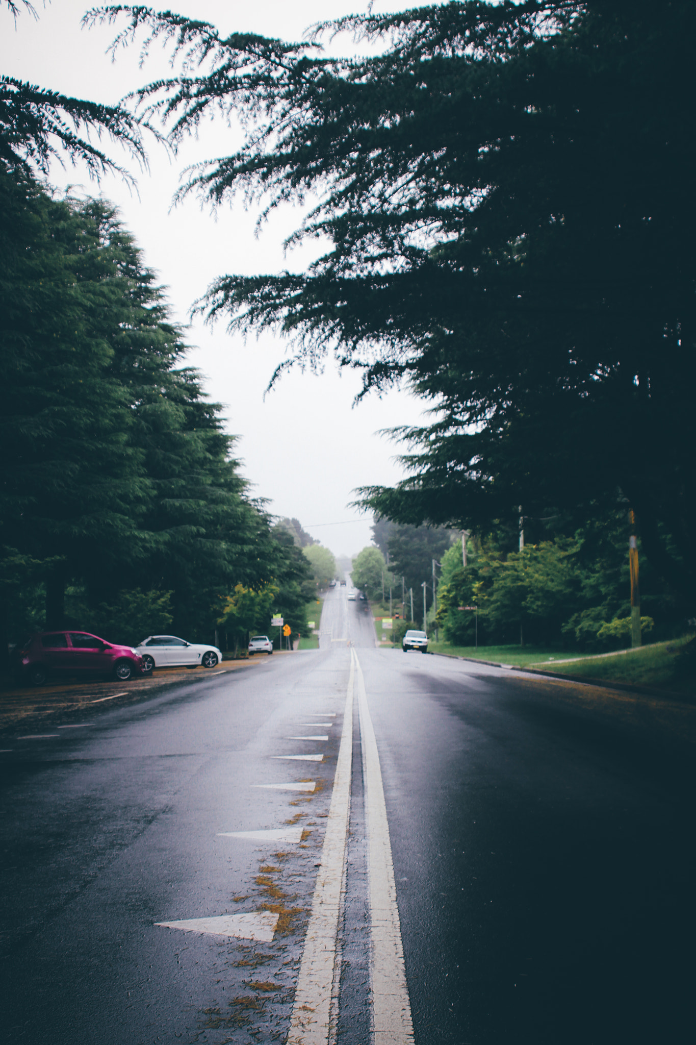 Canon EF 28-80mm f/3.5-5.6 USM sample photo. So over instagram photography