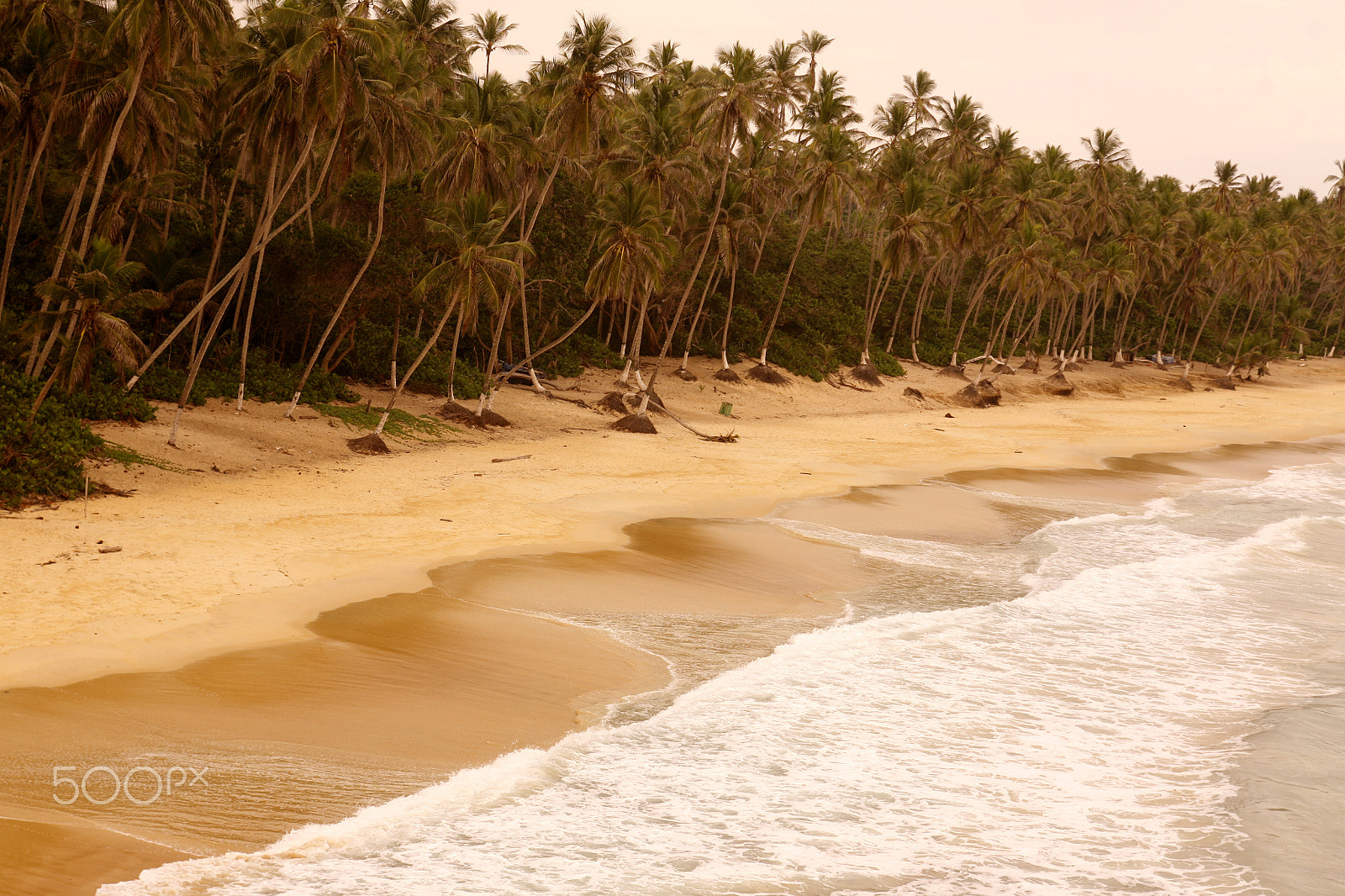 Canon EOS 5D + EF28-70mm f/2.8L USM sample photo. South america venezuela choroni beach photography