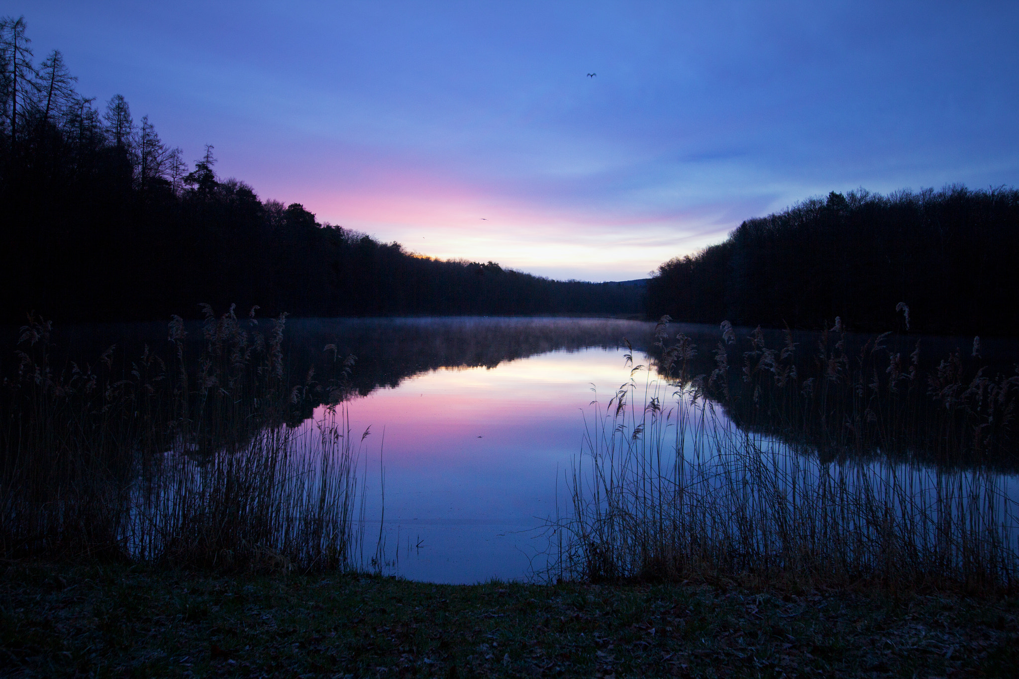 Sigma 12-24mm F4.5-5.6 II DG HSM sample photo. étang photography