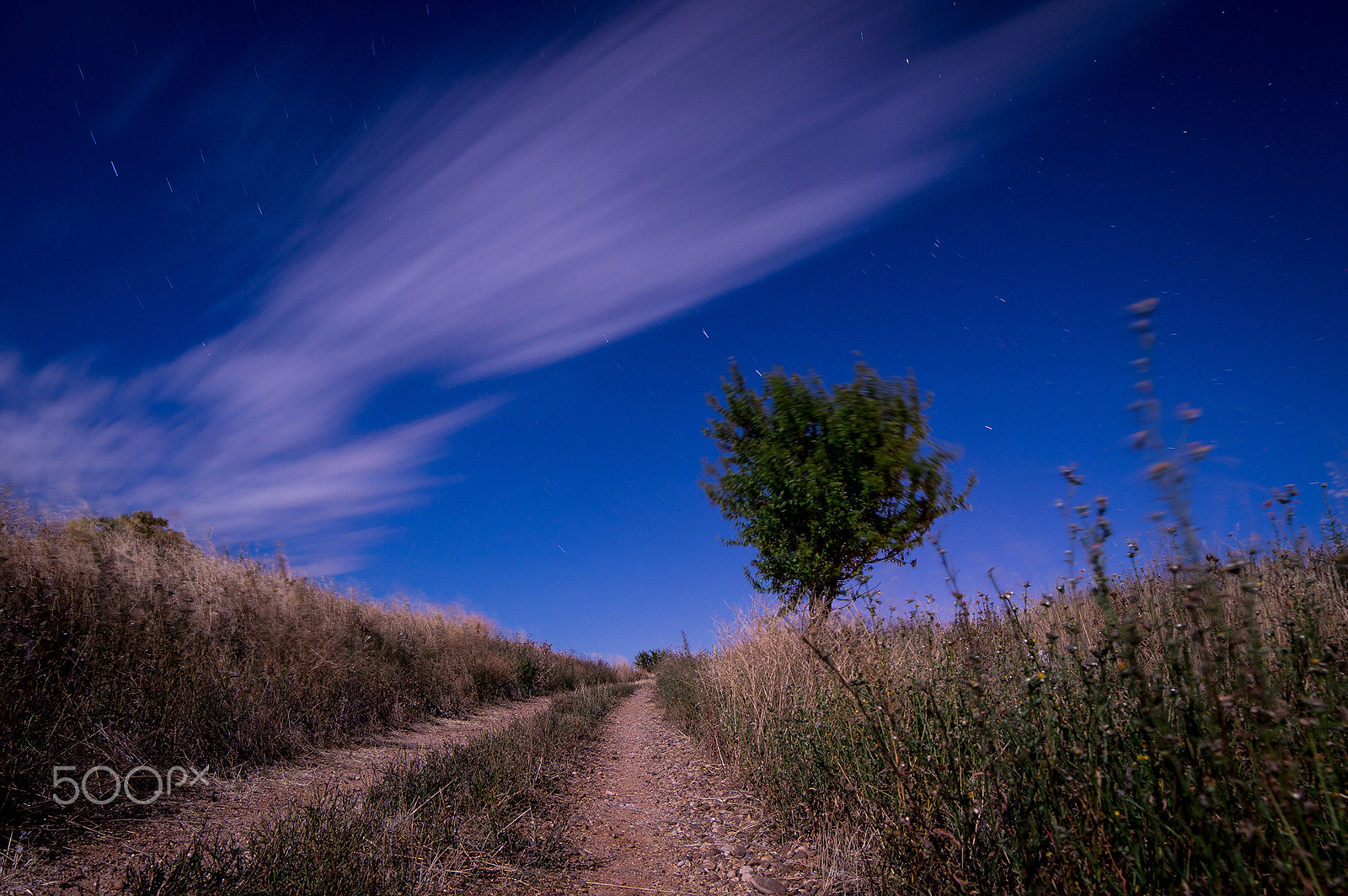 Samyang 14mm F2.8 ED AS IF UMC sample photo. () photography