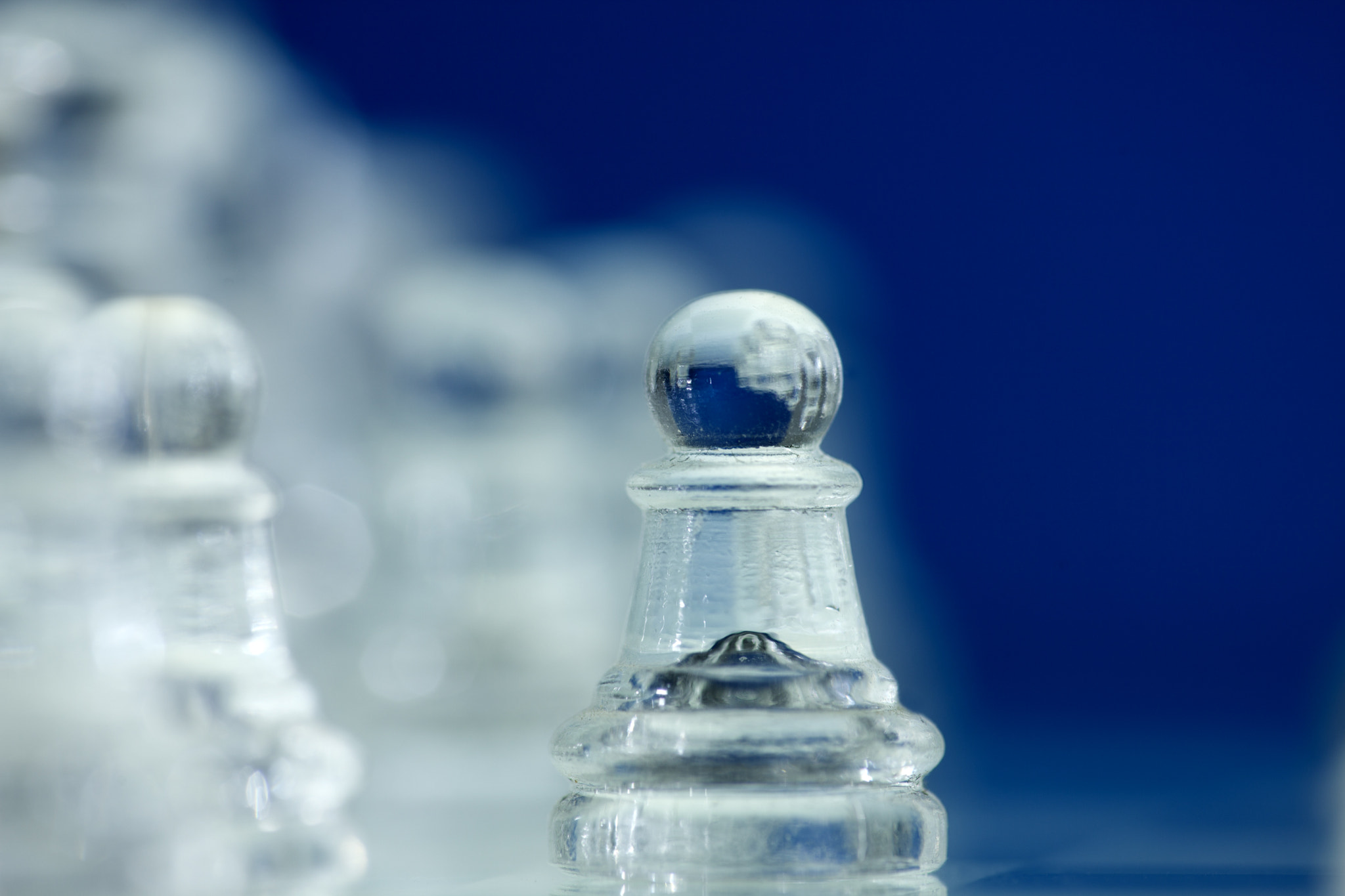 Canon EF 180mm F3.5L Macro USM sample photo. Schach spiel photography