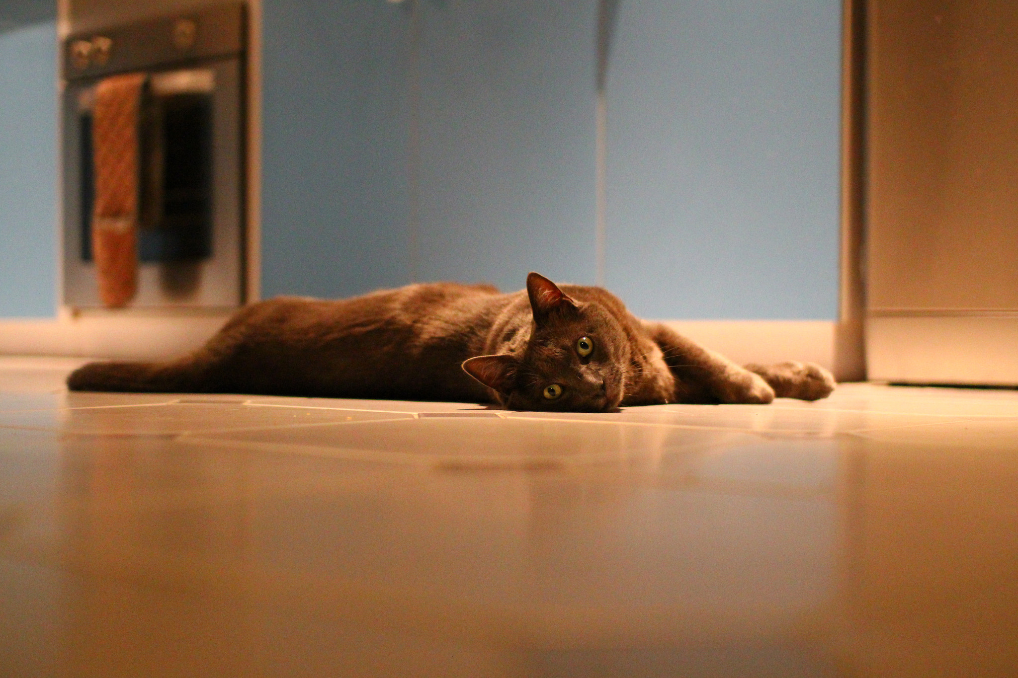 Sigma 30mm F1.4 EX DC HSM sample photo. 5410043275.jpg photography