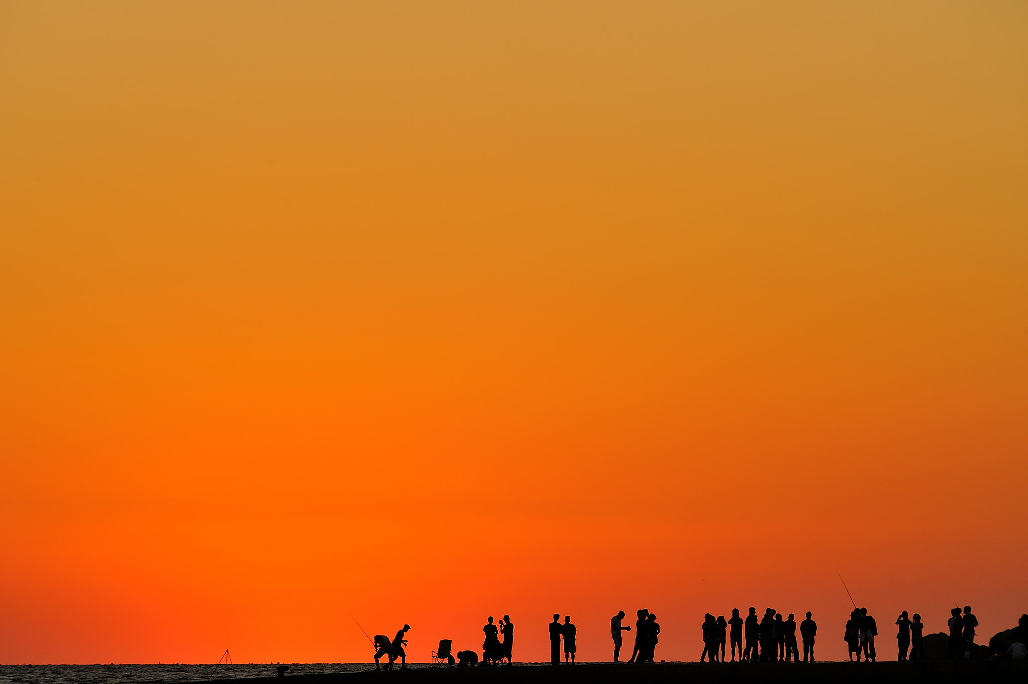 AF-S Zoom-Nikkor 80-200mm f/2.8D IF-ED sample photo. Silhouette photography