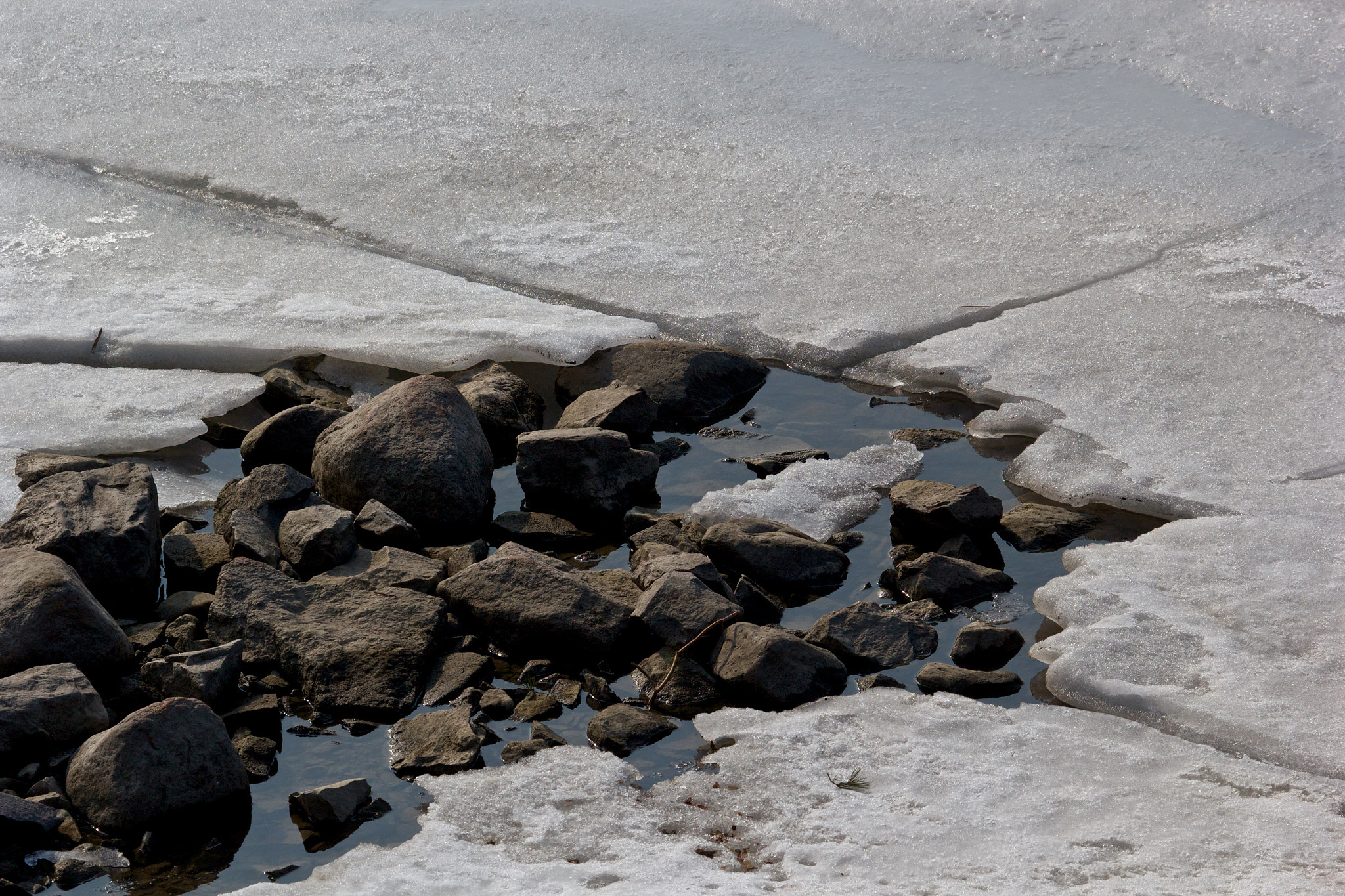Canon EF 100-400mm F4.5-5.6L IS USM sample photo. Bye bye winter photography