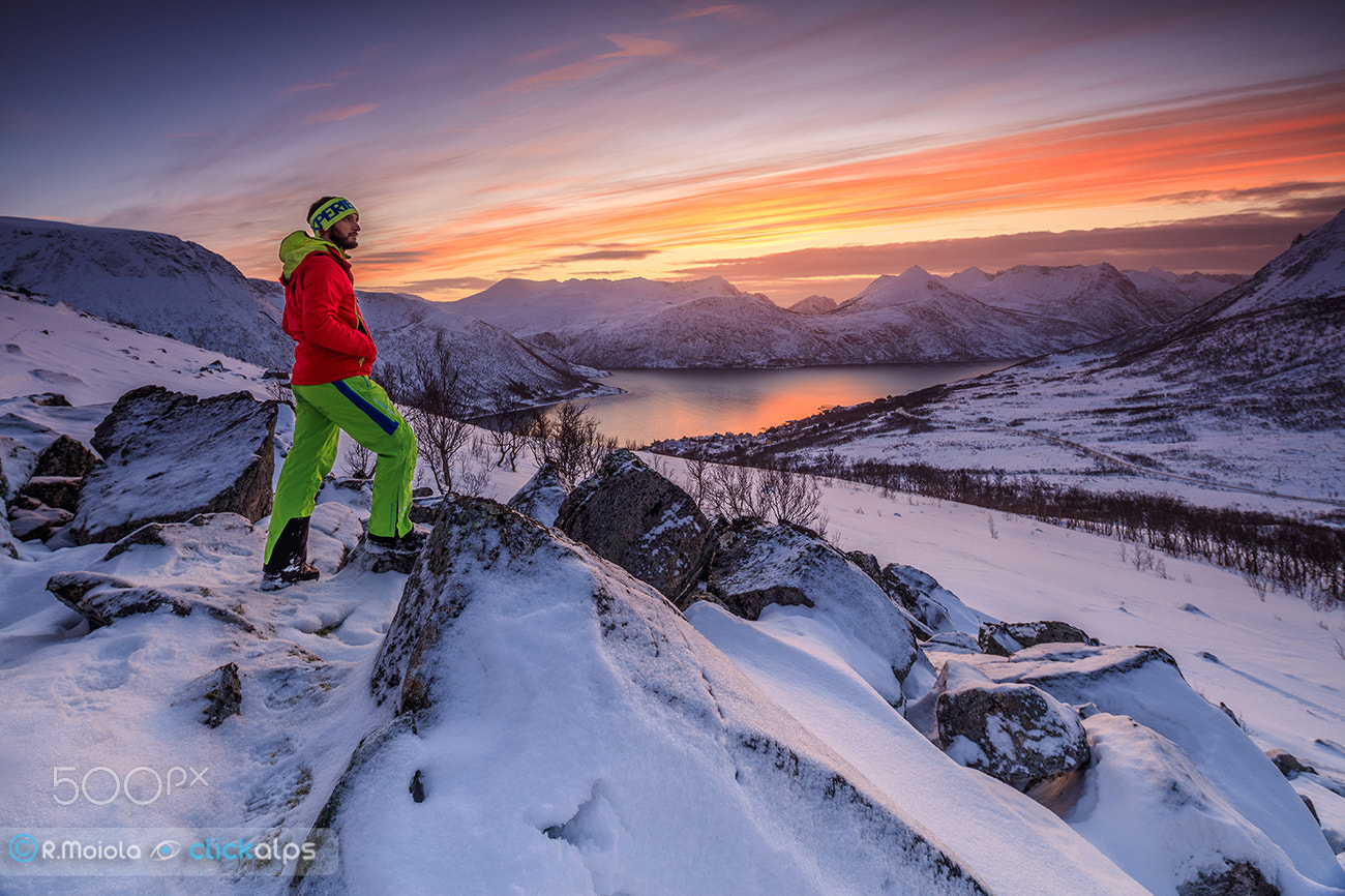 Canon EOS 5DS + Canon TS-E 17mm F4L Tilt-Shift sample photo. A selfie from senja photography