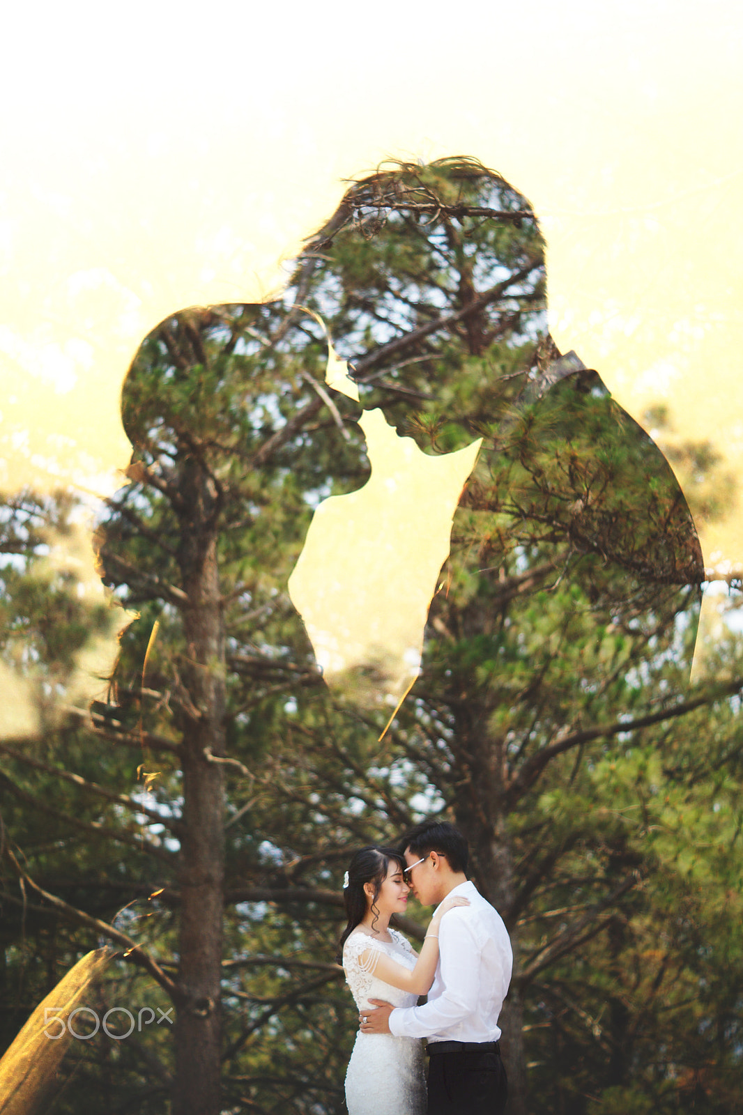 Sony SLT-A77 + Sony DT 50mm F1.8 SAM sample photo. Love in the air photography