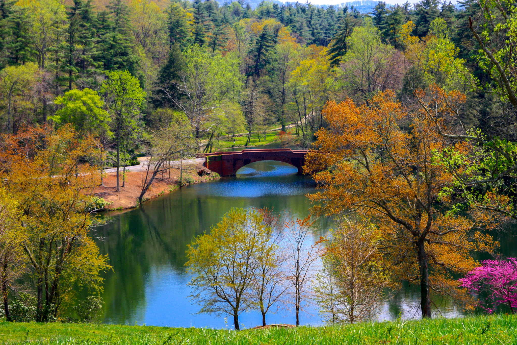 Canon EOS 450D (EOS Rebel XSi / EOS Kiss X2) sample photo. Spring day at biltmore pond photography