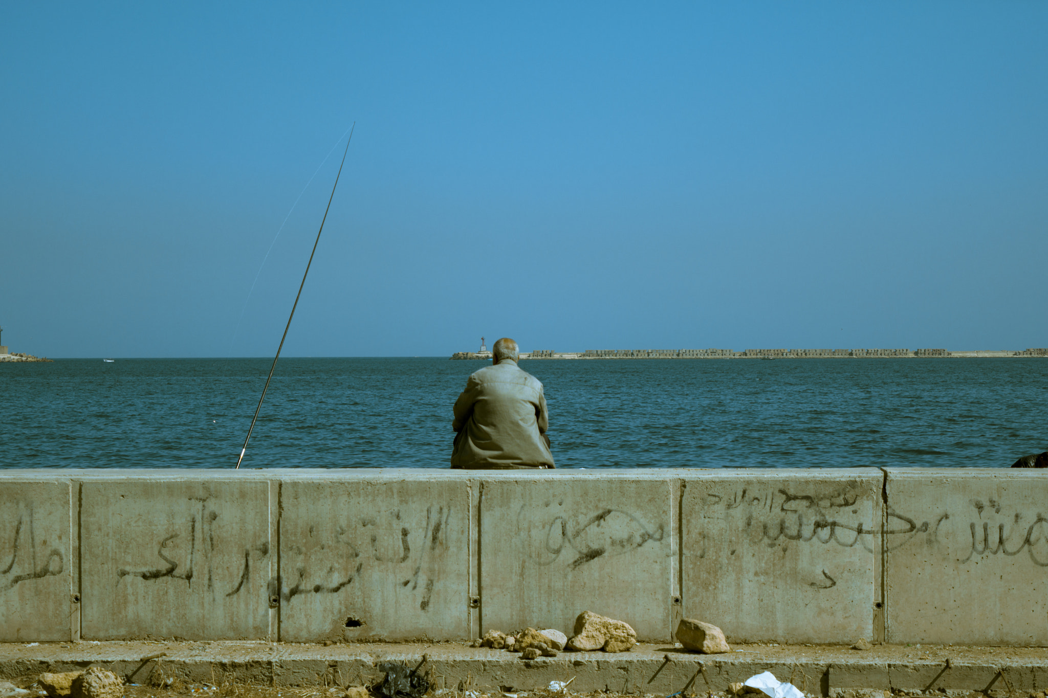 Nikon D5200 + AF-S Zoom-Nikkor 80-200mm f/2.8D IF-ED sample photo. Beauty of alexandria photography