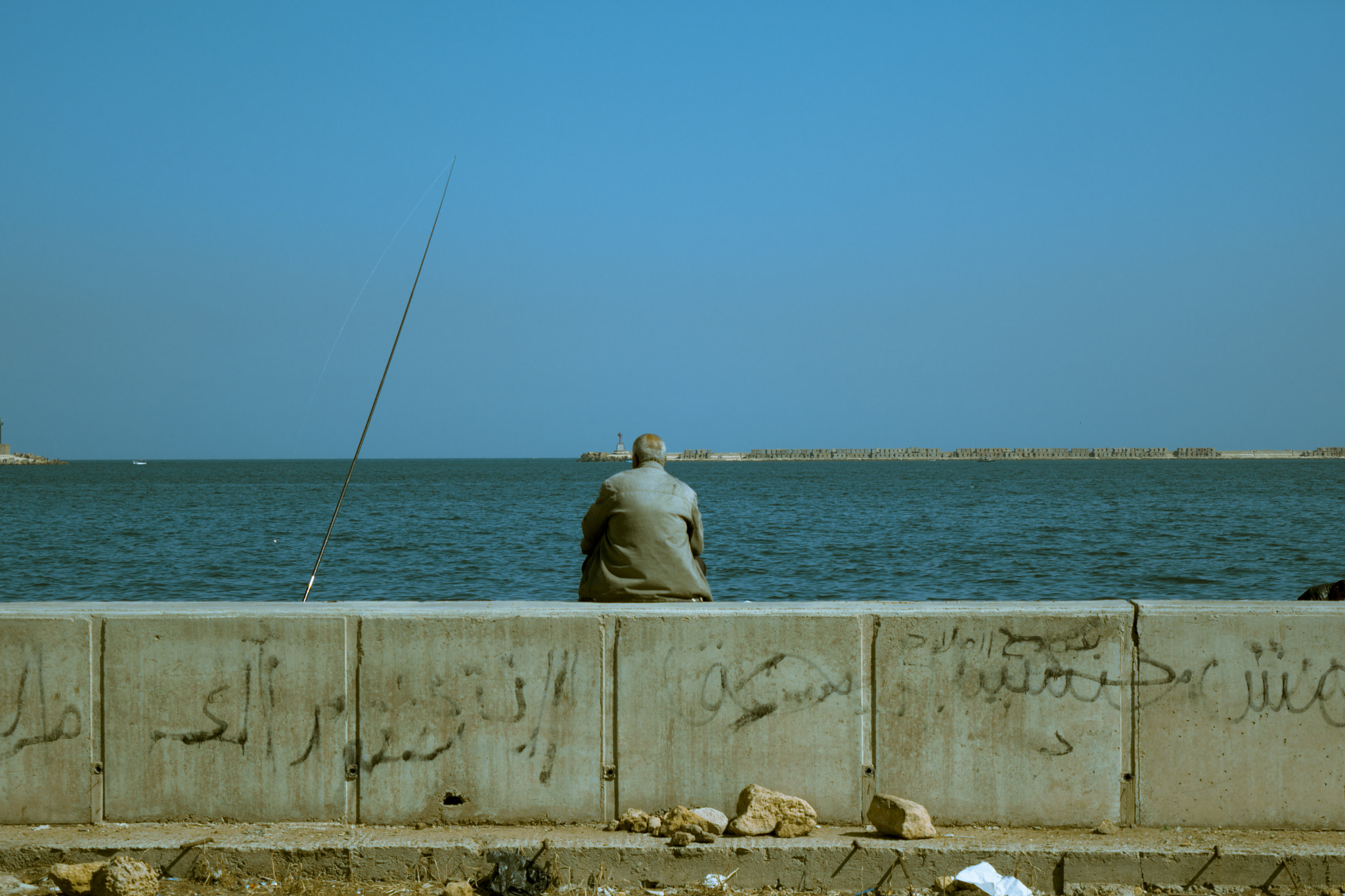 AF-S Zoom-Nikkor 80-200mm f/2.8D IF-ED sample photo. Beauty of alexandria photography