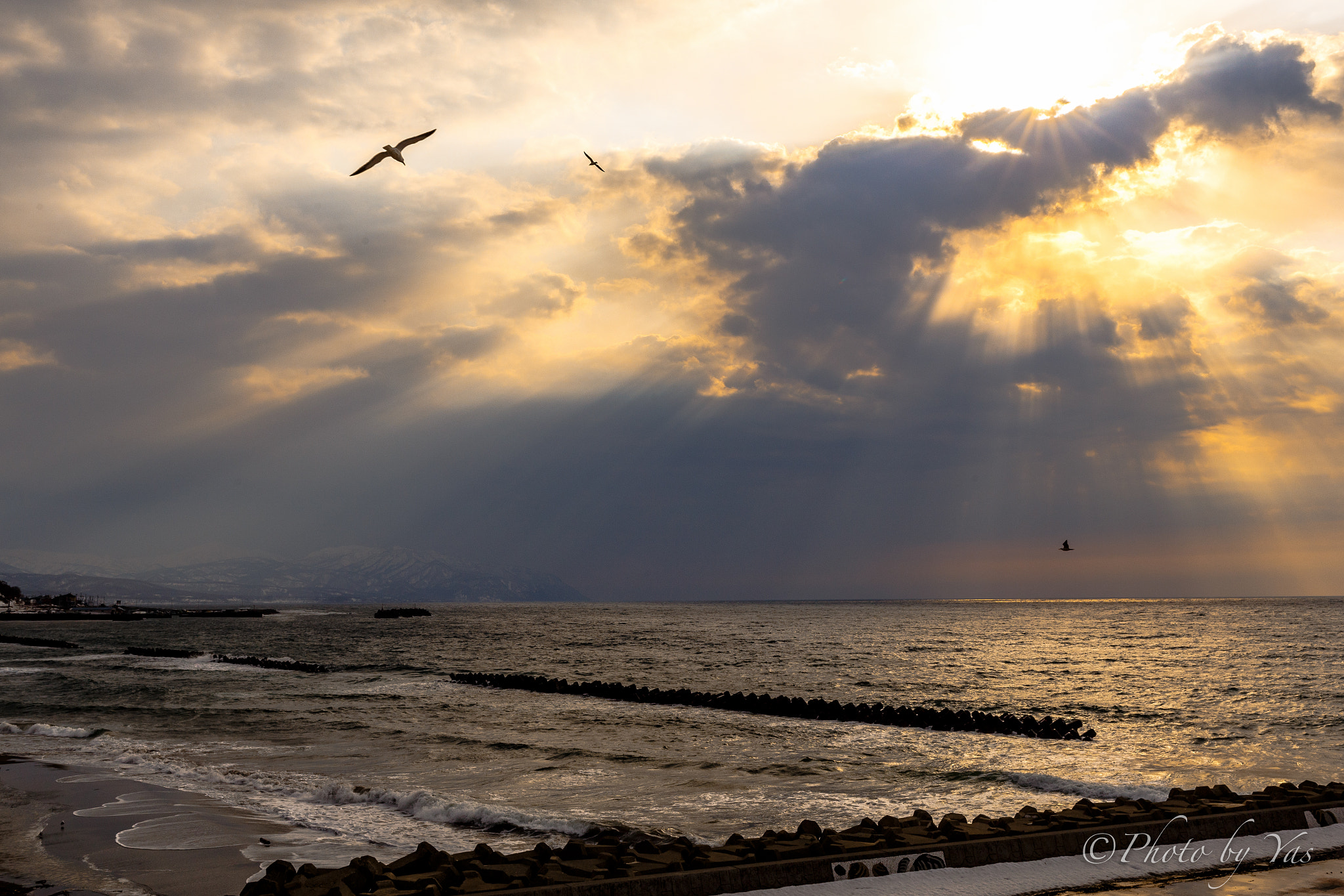 Canon EOS 6D + ZEISS Distagon T* 35mm F1.4 sample photo. Crepuscular rays photography