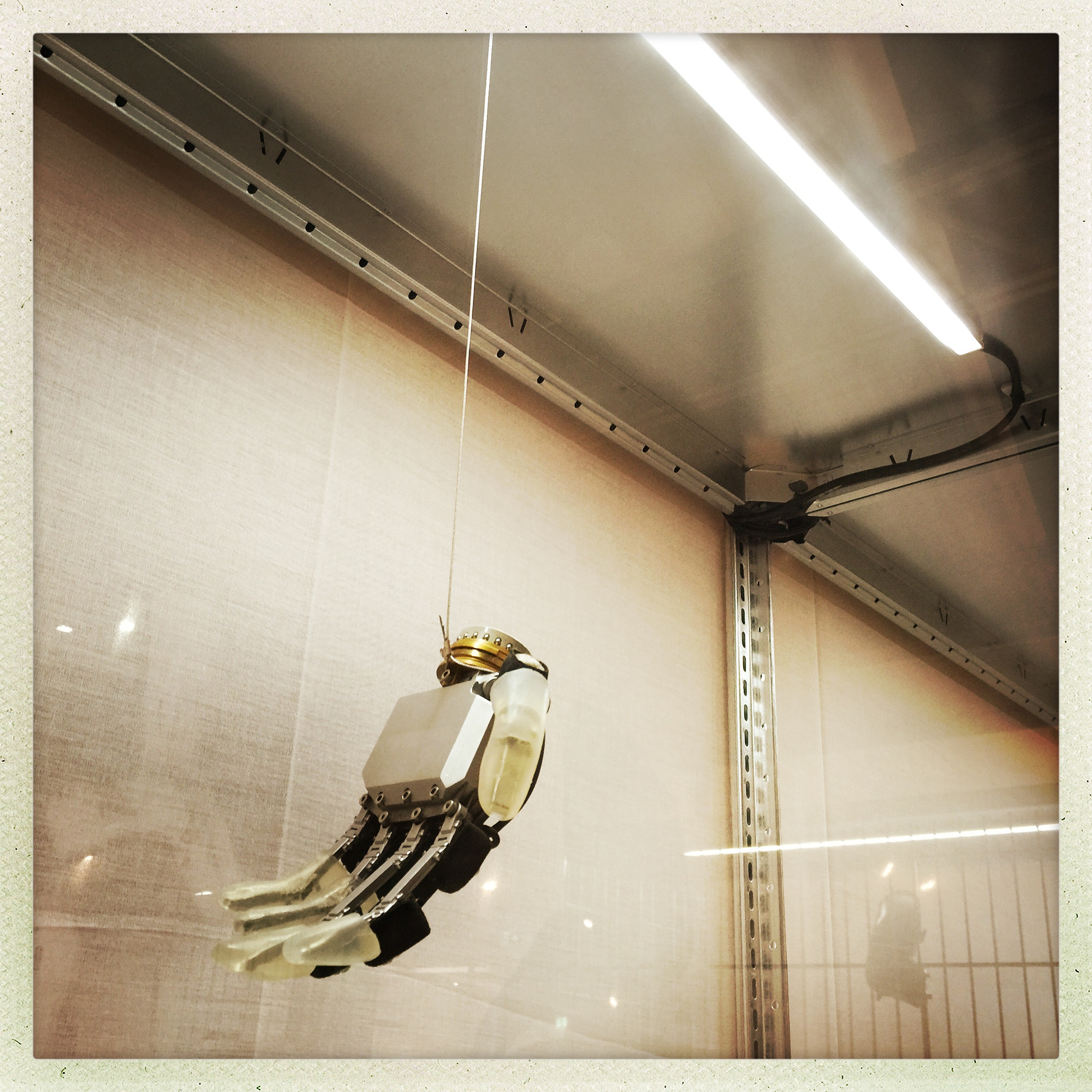 Hipstamatic 311 sample photo. Artificial hand photography