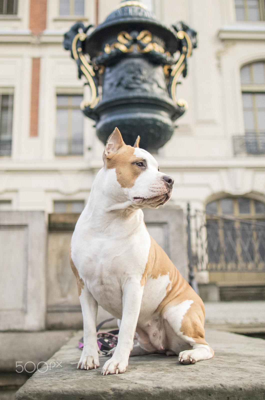 Canon EF 24mm F1.4L II USM sample photo. Real monument at the castle photography