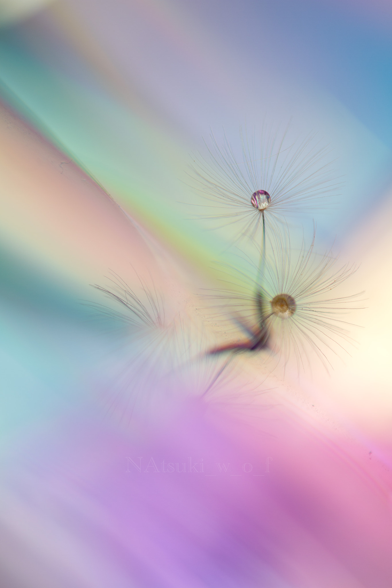 Tamron SP AF 180mm F3.5 Di LD (IF) Macro sample photo. Rainbow world photography