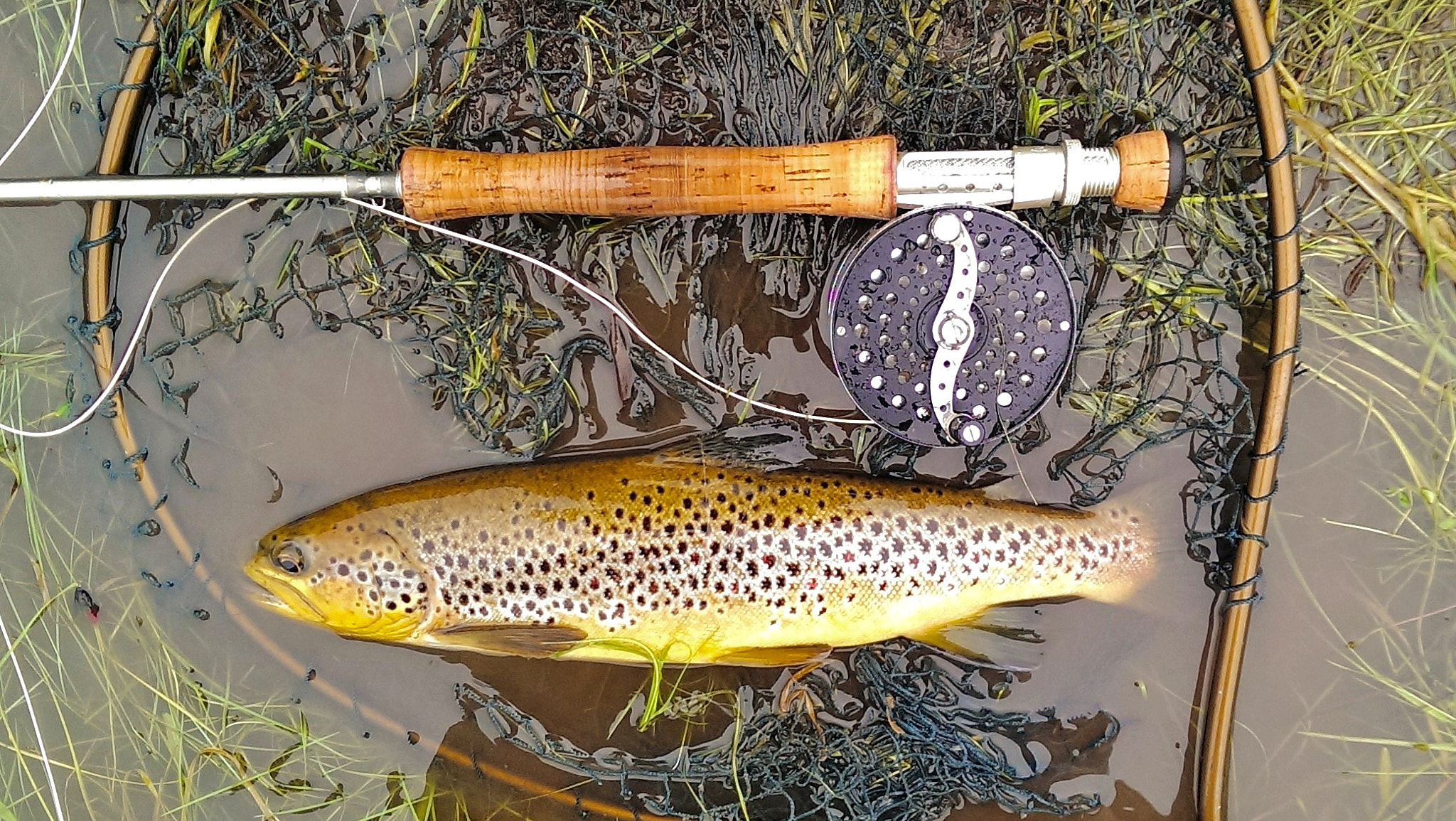 v2?sig=40635de8a429f93e1b2cab2c9feccf9f4007a16d7748519c5ac5b09cc0bdb004