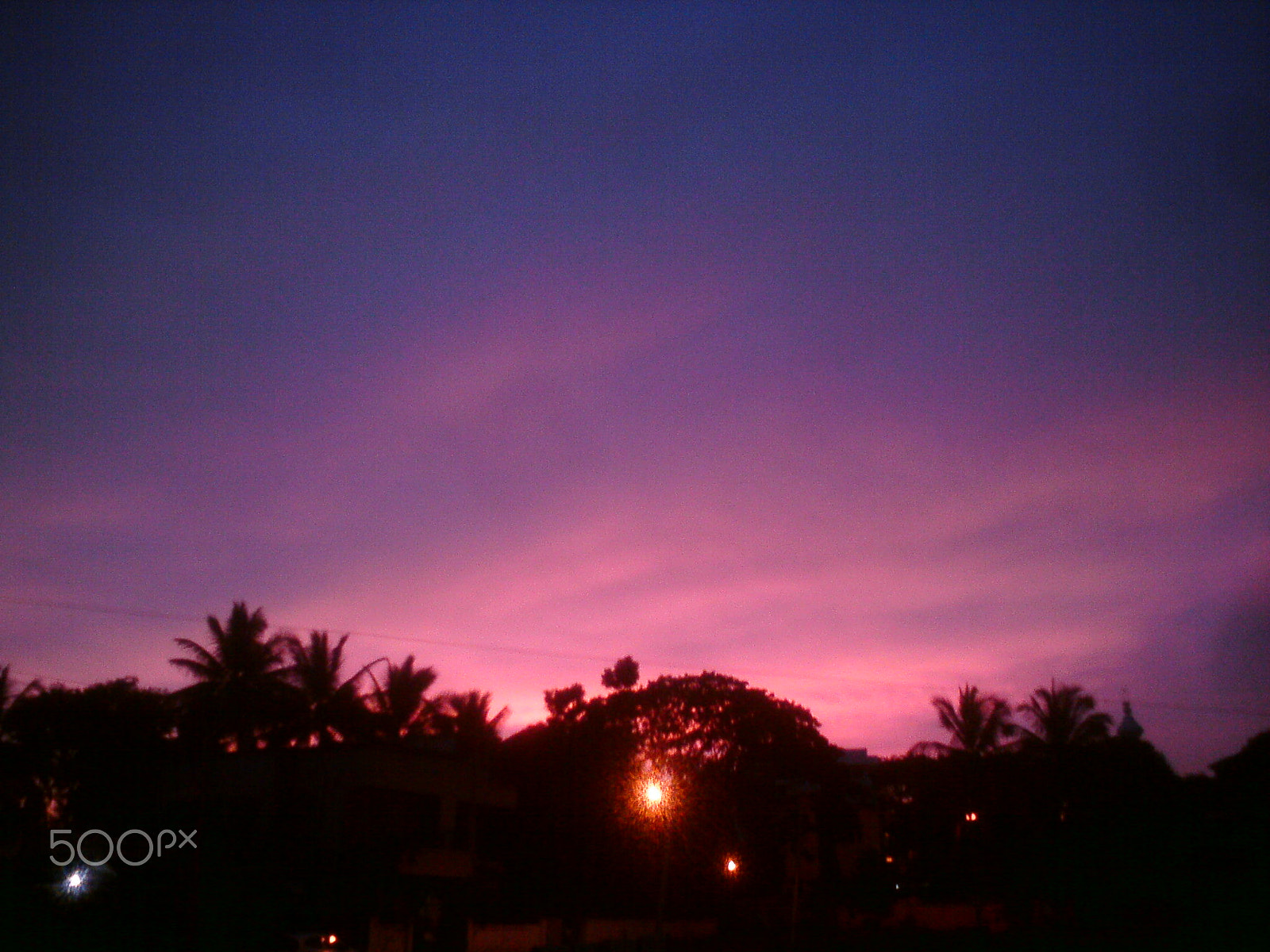 Sony Ericsson C510 sample photo. Dsc00206.jpg photography