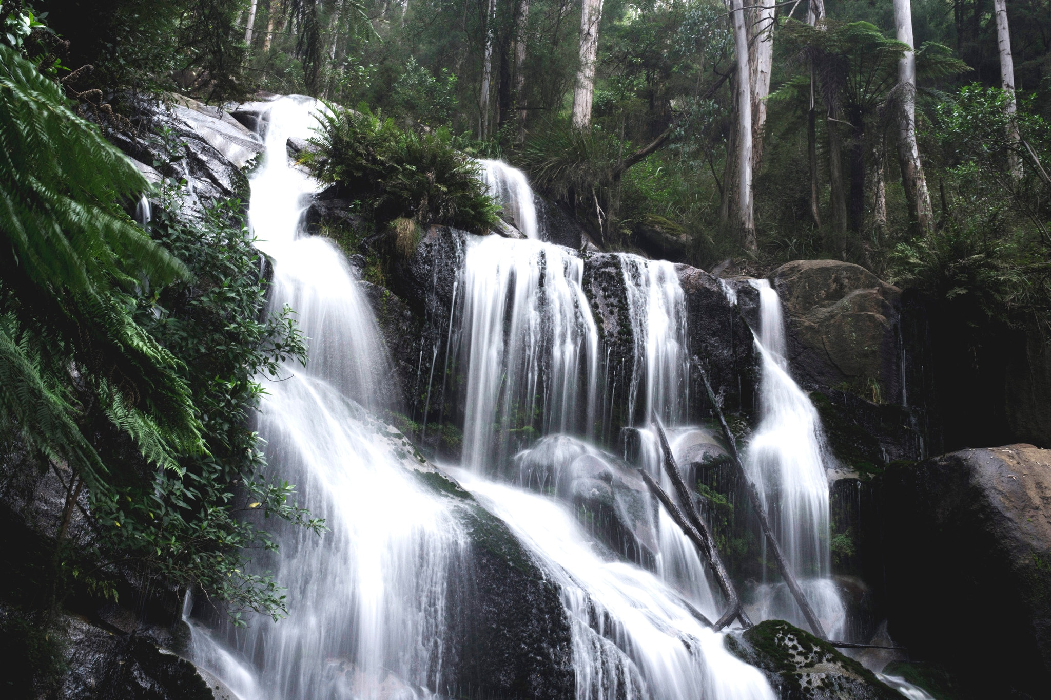 Samsung NX10 + Samsung NX 30mm F2 Pancake sample photo. Toorongo falls photography