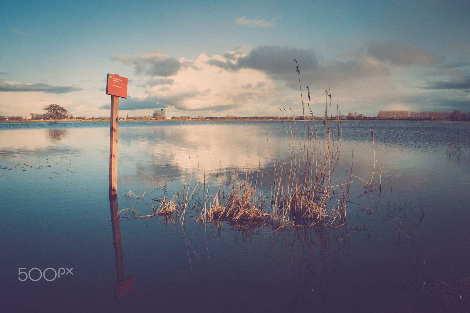 Sony Alpha DSLR-A900 + Sony 28mm F2.8 sample photo. The floodplains of the river ijssel @ holland photography