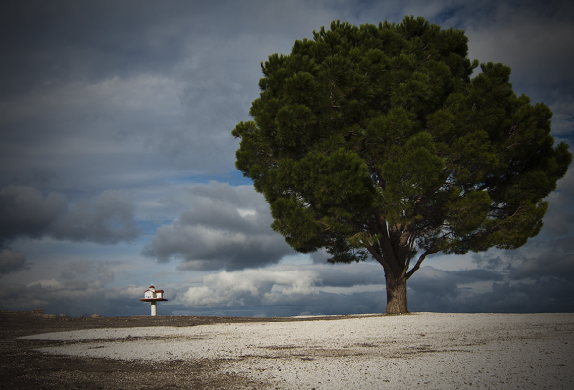 Tokina AT-X 12-28mm F4 Pro DX sample photo. It's so big photography