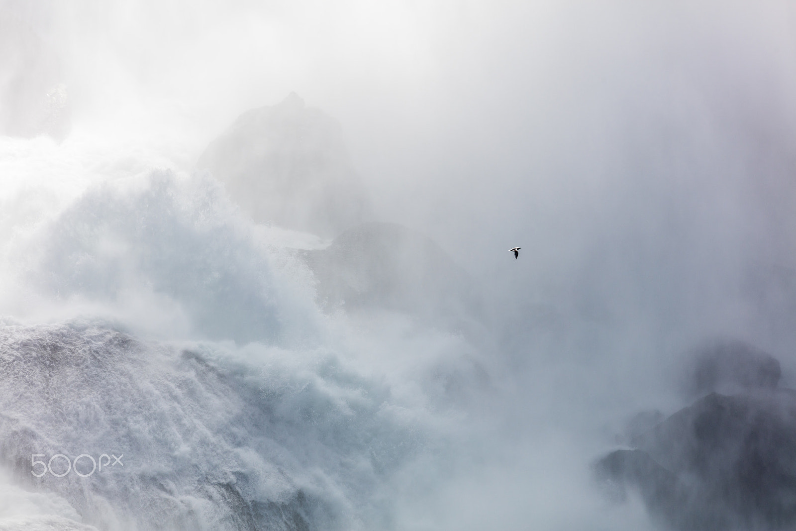 Canon EF 100-400mm F4.5-5.6L IS II USM sample photo. Seagull on niagara photography