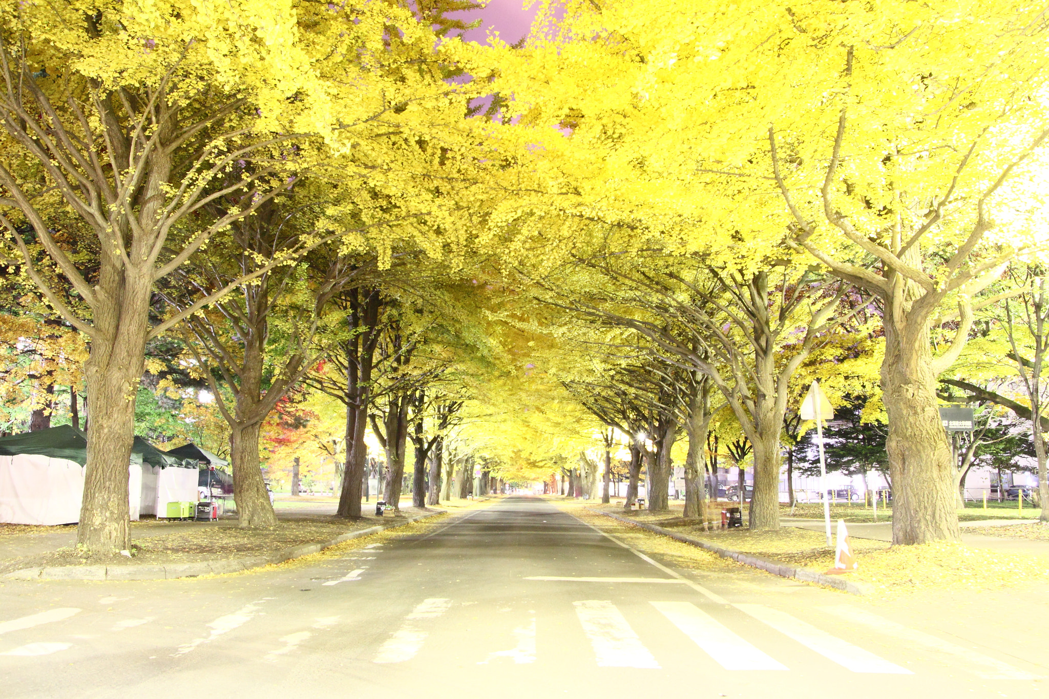 Canon 17-50mm sample photo. Night　hokudai photography