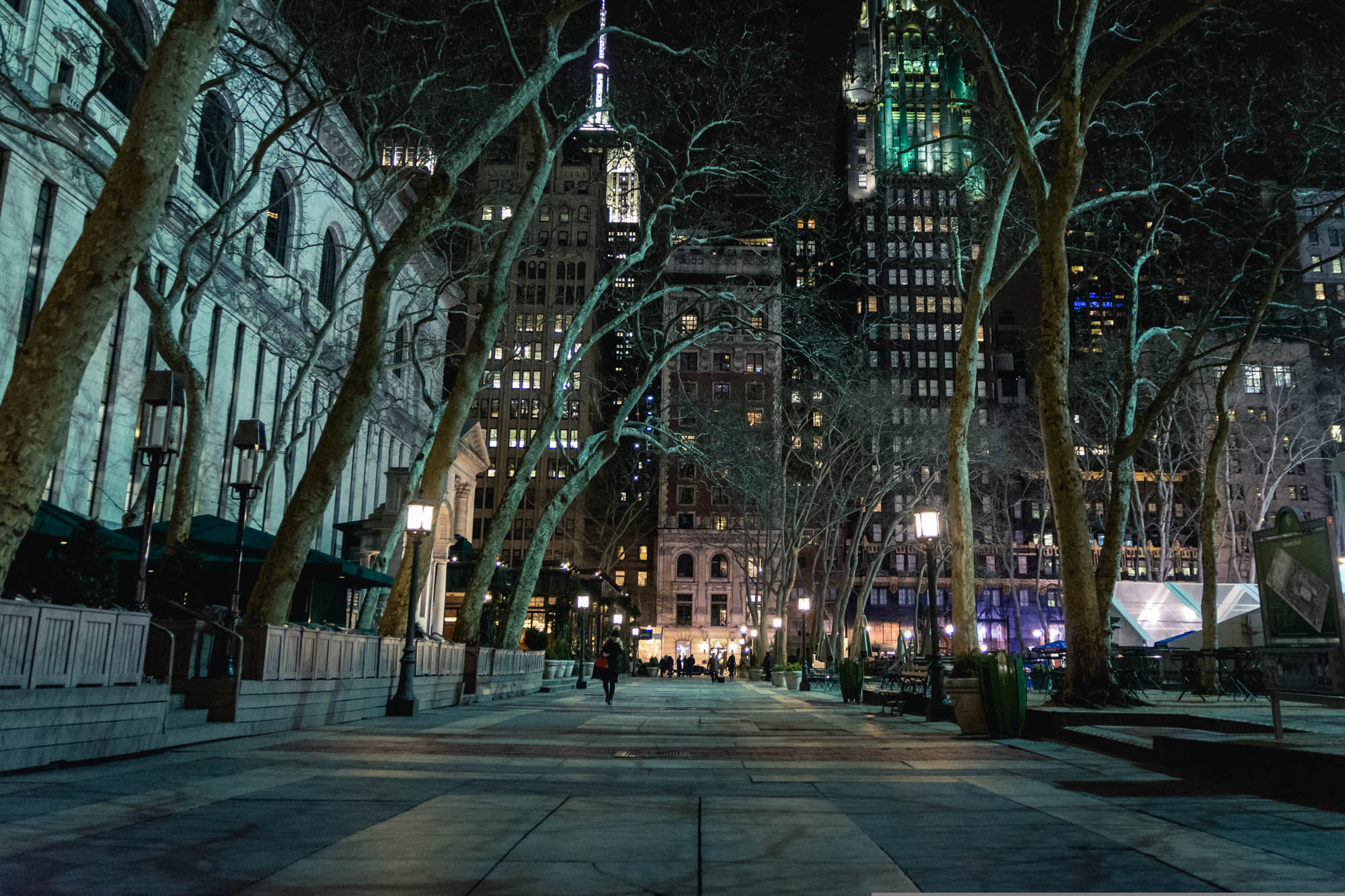 Sigma 17-70mm F2.8-4 DC Macro OS HSM | C sample photo. The night at nyc photography