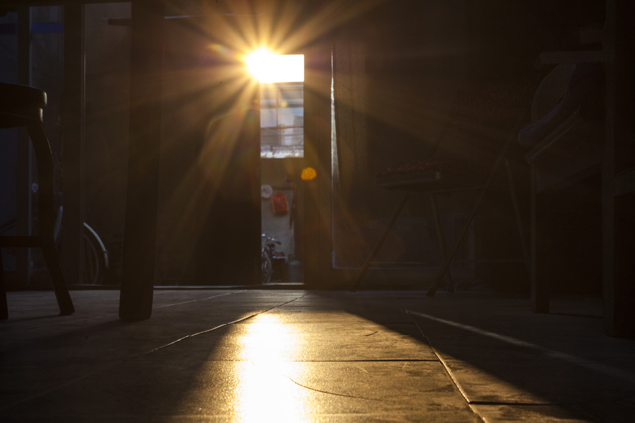 Canon EOS-1D Mark III sample photo. Warm light photography