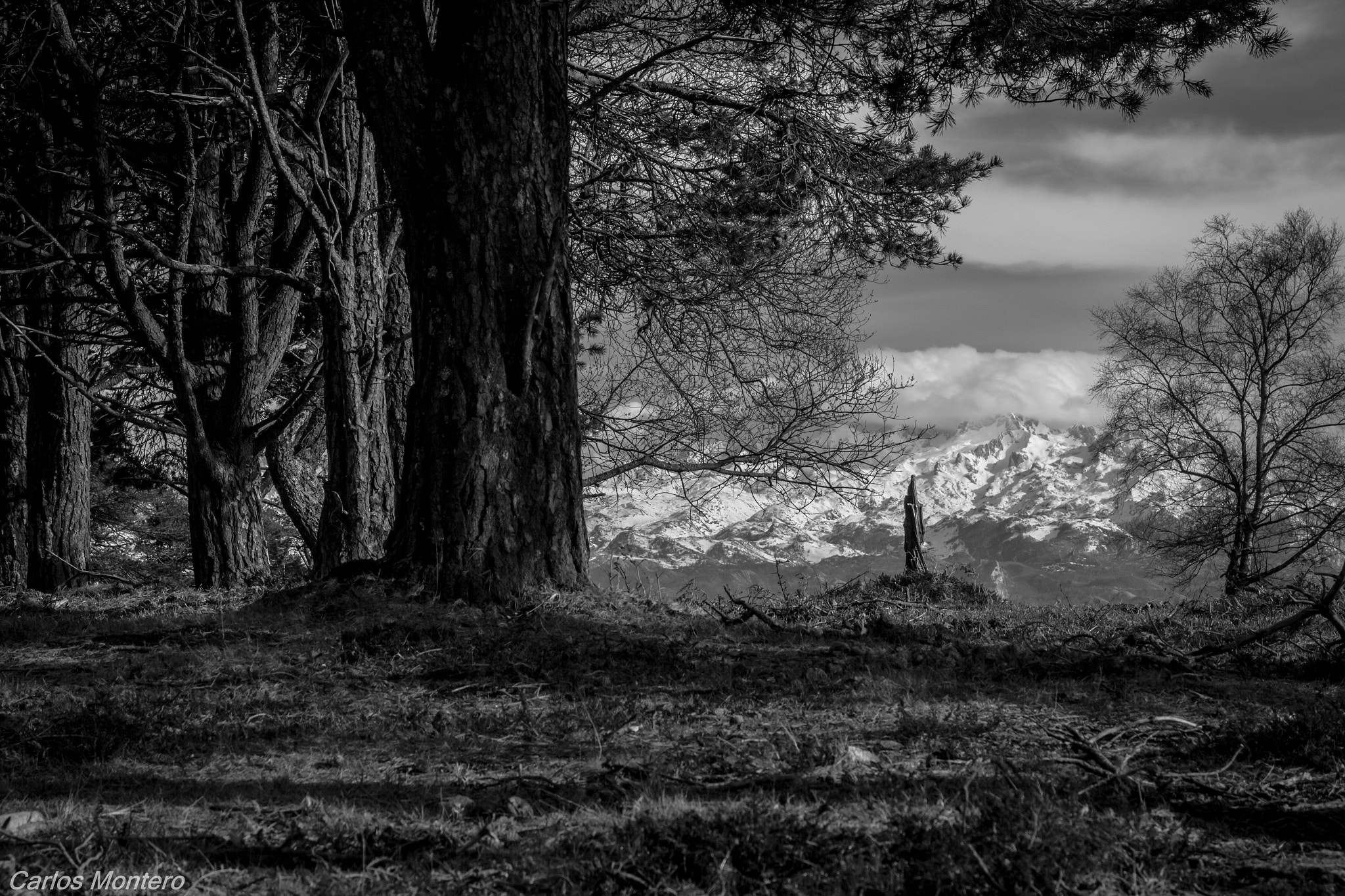 Sigma 18-125mm F3.8-5.6 DC OS HSM sample photo. Picos de europa photography