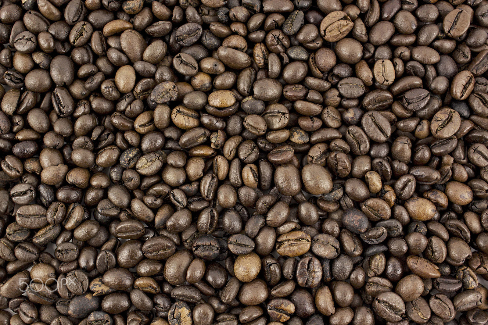 Canon EF-S 18-55mm F3.5-5.6 III sample photo. Coffee beans background photography