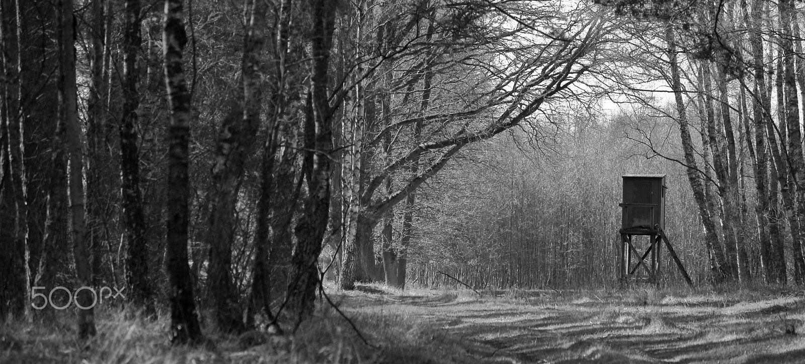 Canon EOS M3 sample photo. Im.wald photography