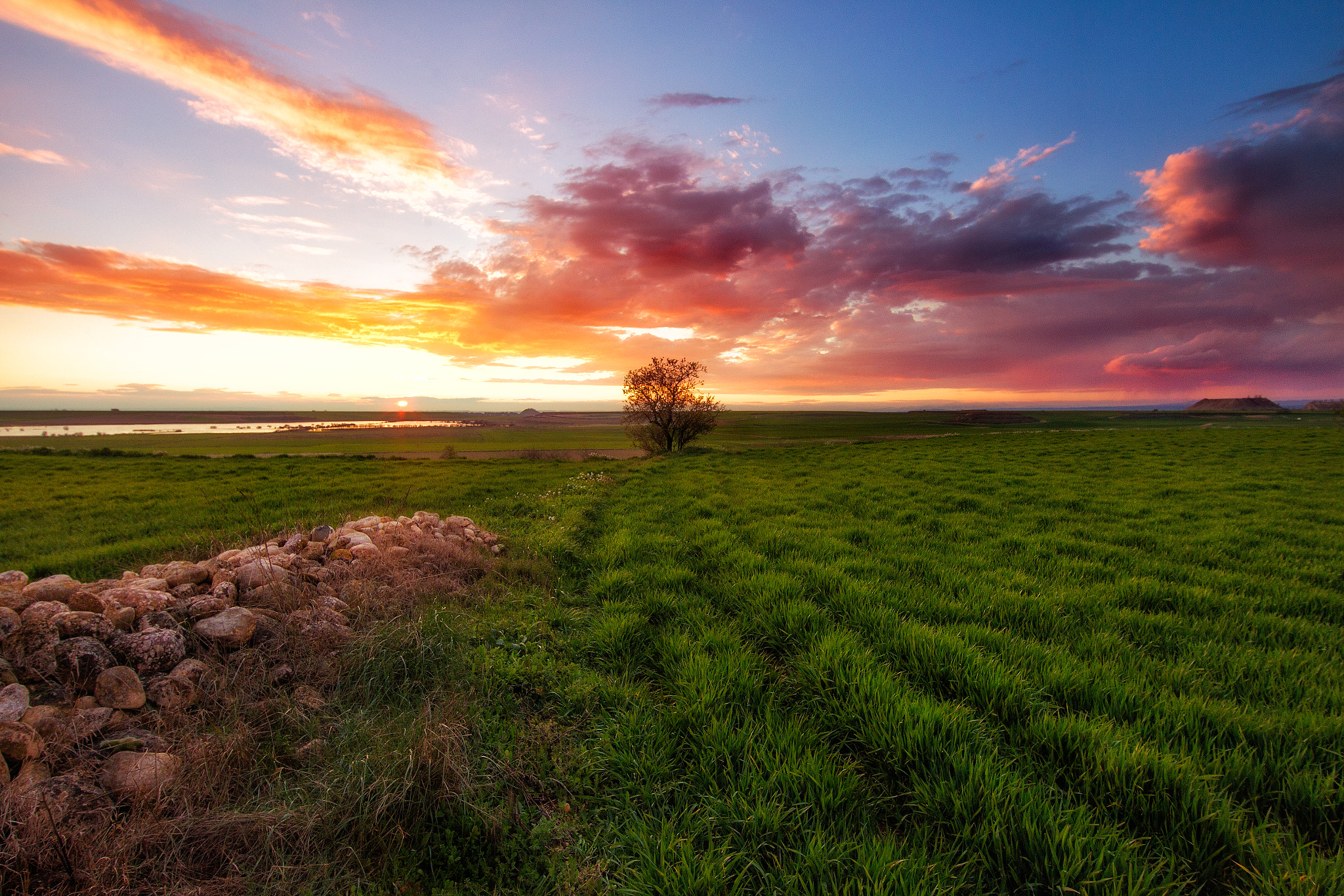 Canon EF 14mm F2.8L II USM sample photo. One photography