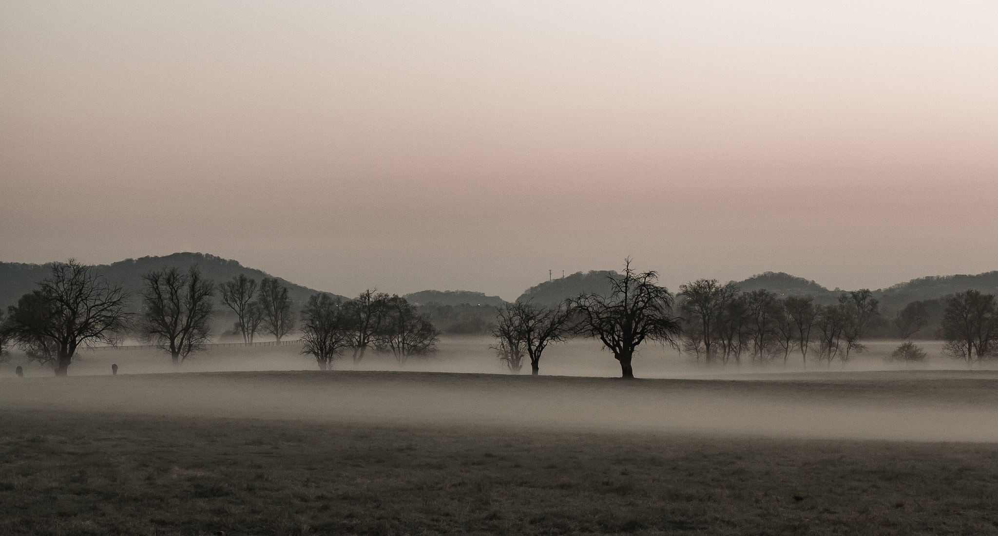 Canon EOS 650D (EOS Rebel T4i / EOS Kiss X6i) + Canon EF 50mm F1.4 USM sample photo. Misty morning photography