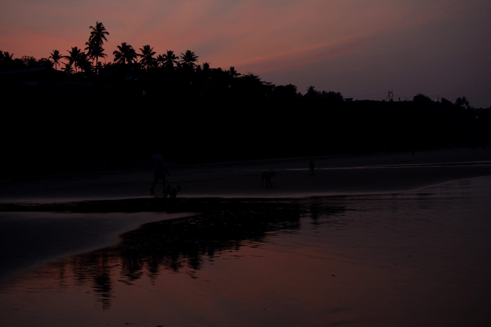 Nikon D5200 + Sigma 50mm F2.8 EX DG Macro sample photo. Break of dawn. photography