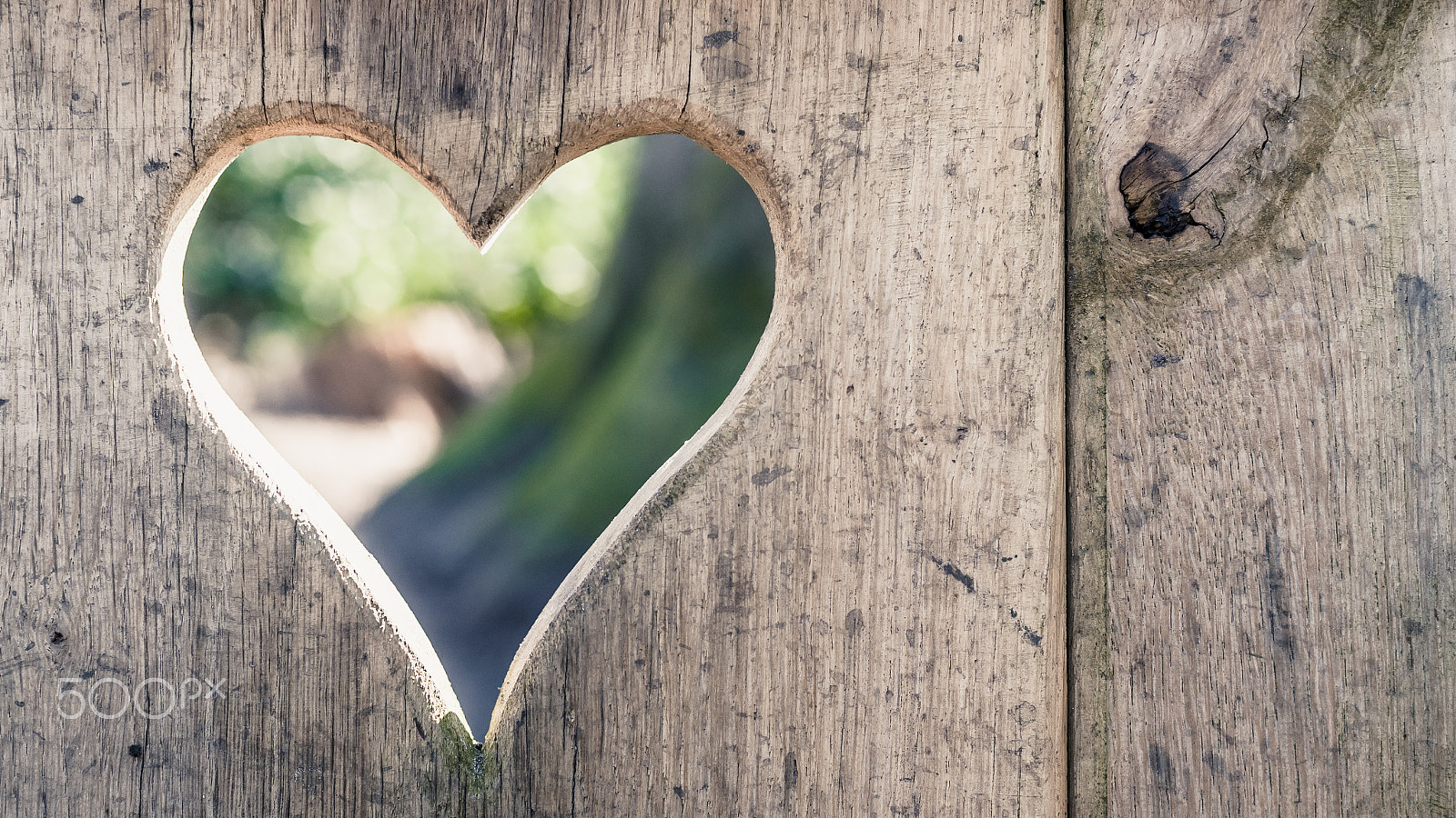 Sony 50mm F1.4 sample photo. Cut log wood with lightening heart shape, background texture photography