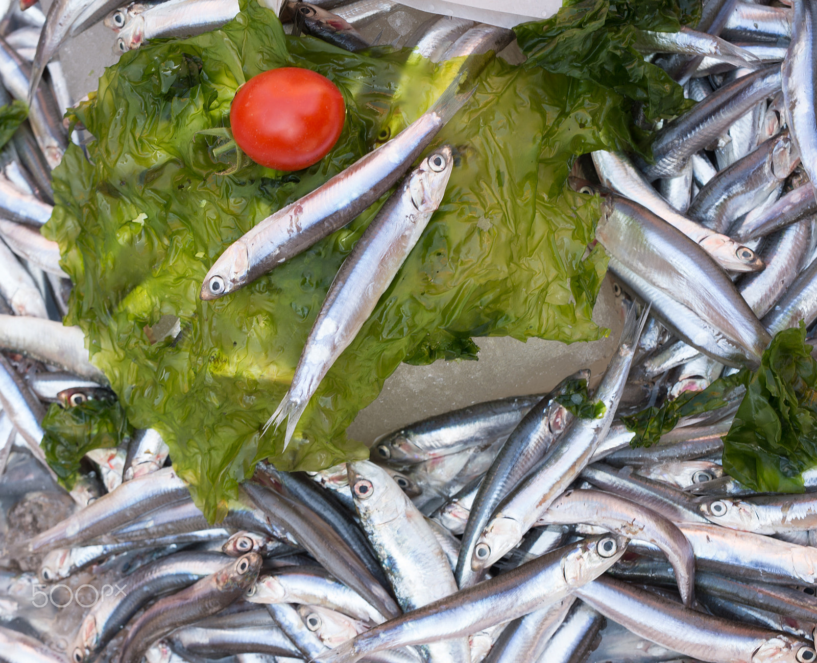 Nikon Df + Sigma 50mm F1.4 DG HSM Art sample photo. Anchovies in market photography