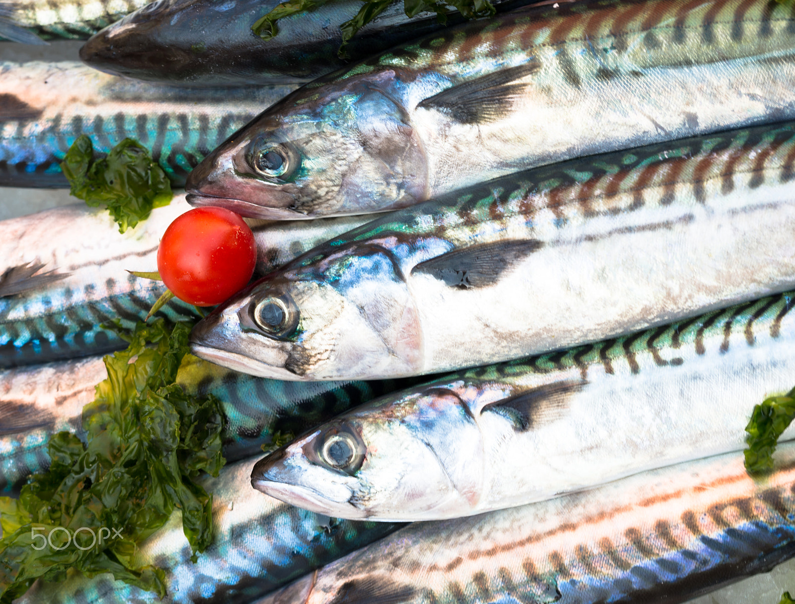 Nikon Df + Sigma 50mm F1.4 DG HSM Art sample photo. Mackerels and tomato photography