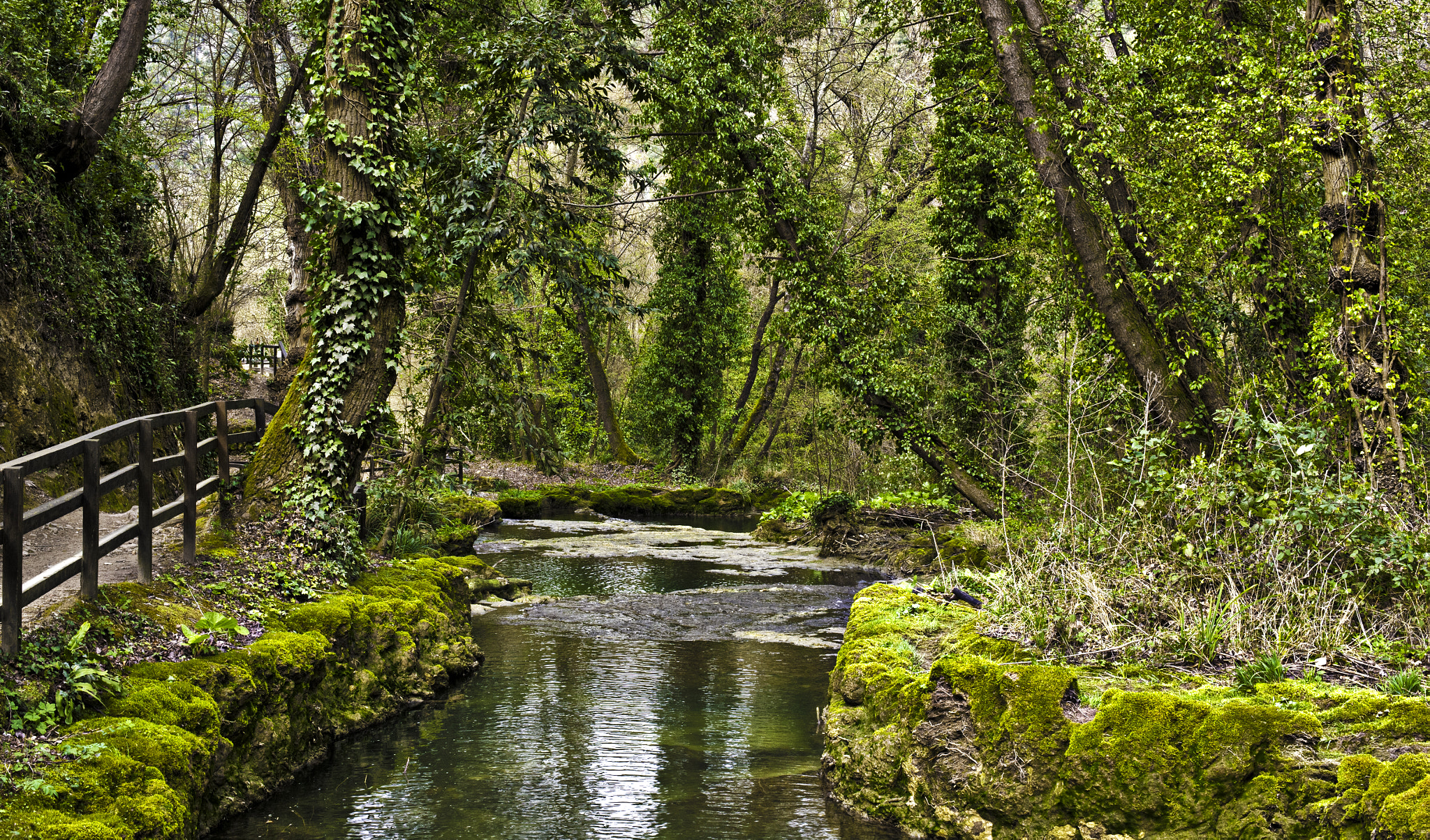 Canon EF 50mm F1.4 USM sample photo. Cascate delle marmore photography