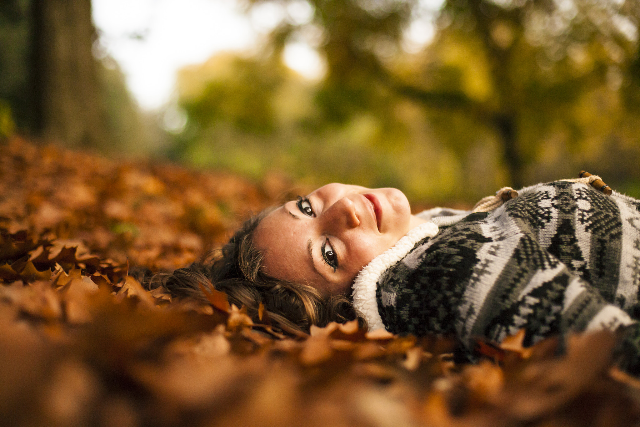 Canon EF 50mm F1.4 USM sample photo. Autumn leaves photography
