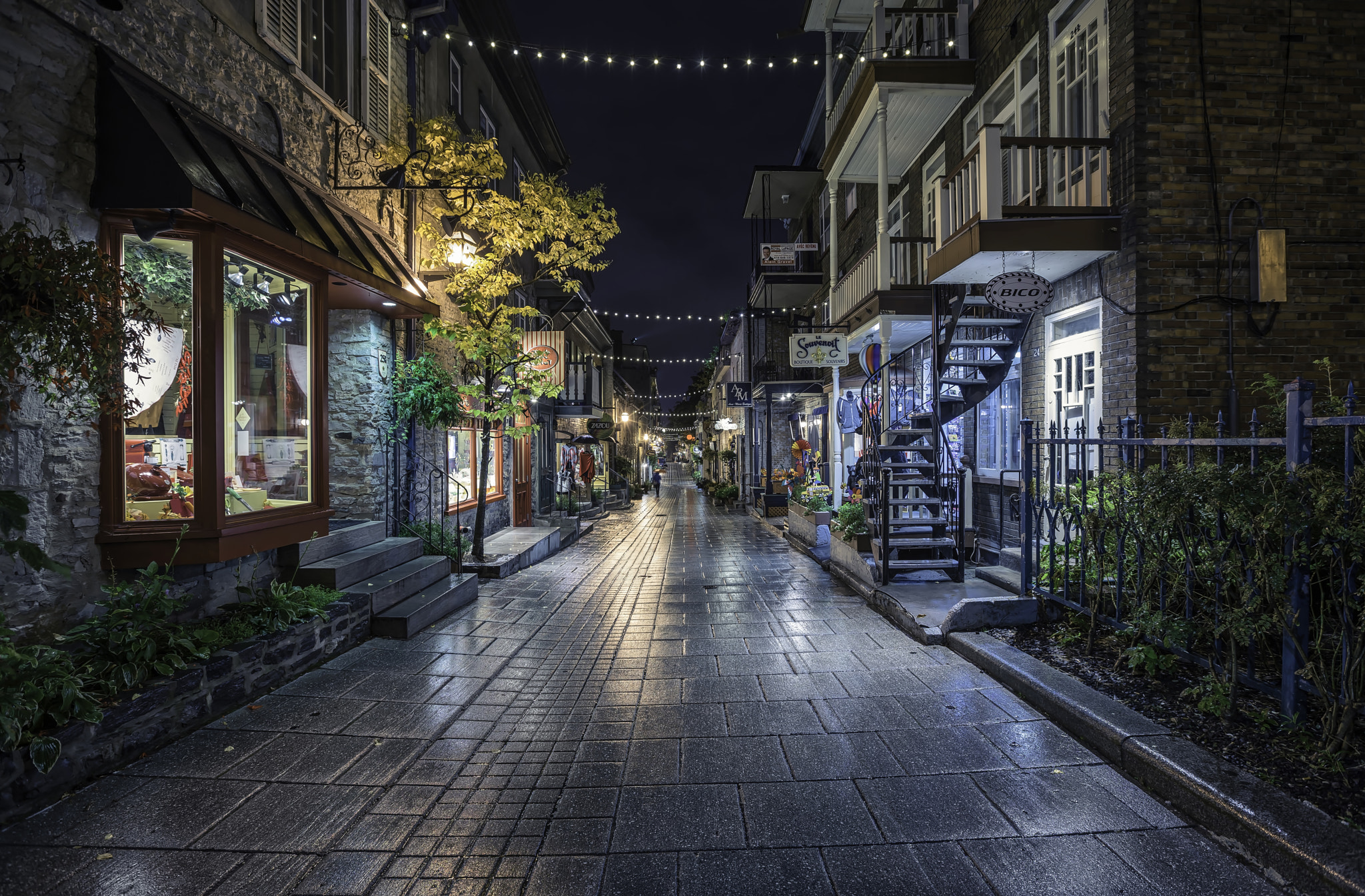 Sony a7R + Canon EF 16-35mm F2.8L II USM sample photo. Nice night for a walk photography