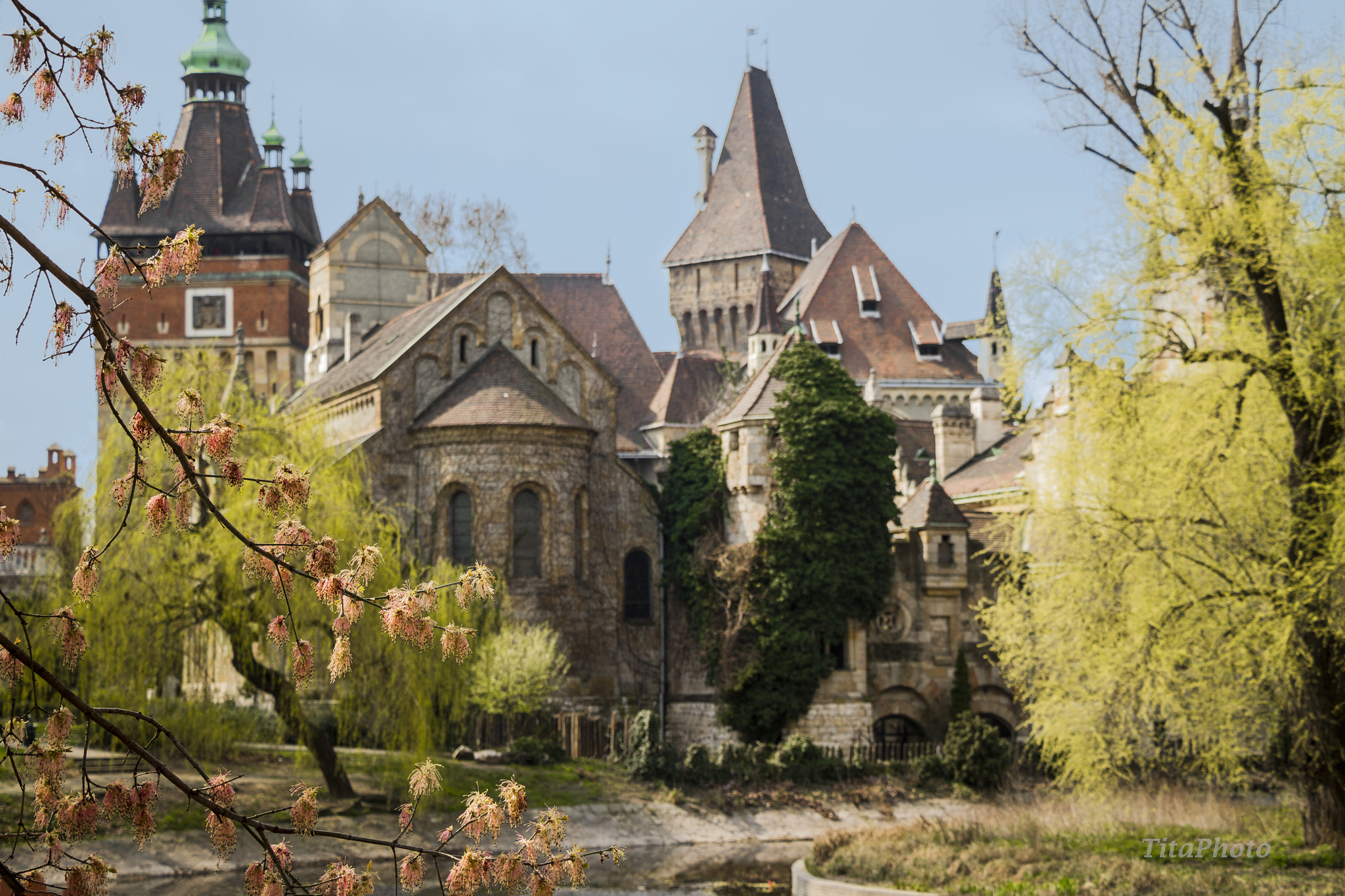Canon EF-S 18-135mm F3.5-5.6 IS STM sample photo. Vajdahunyad castle photography