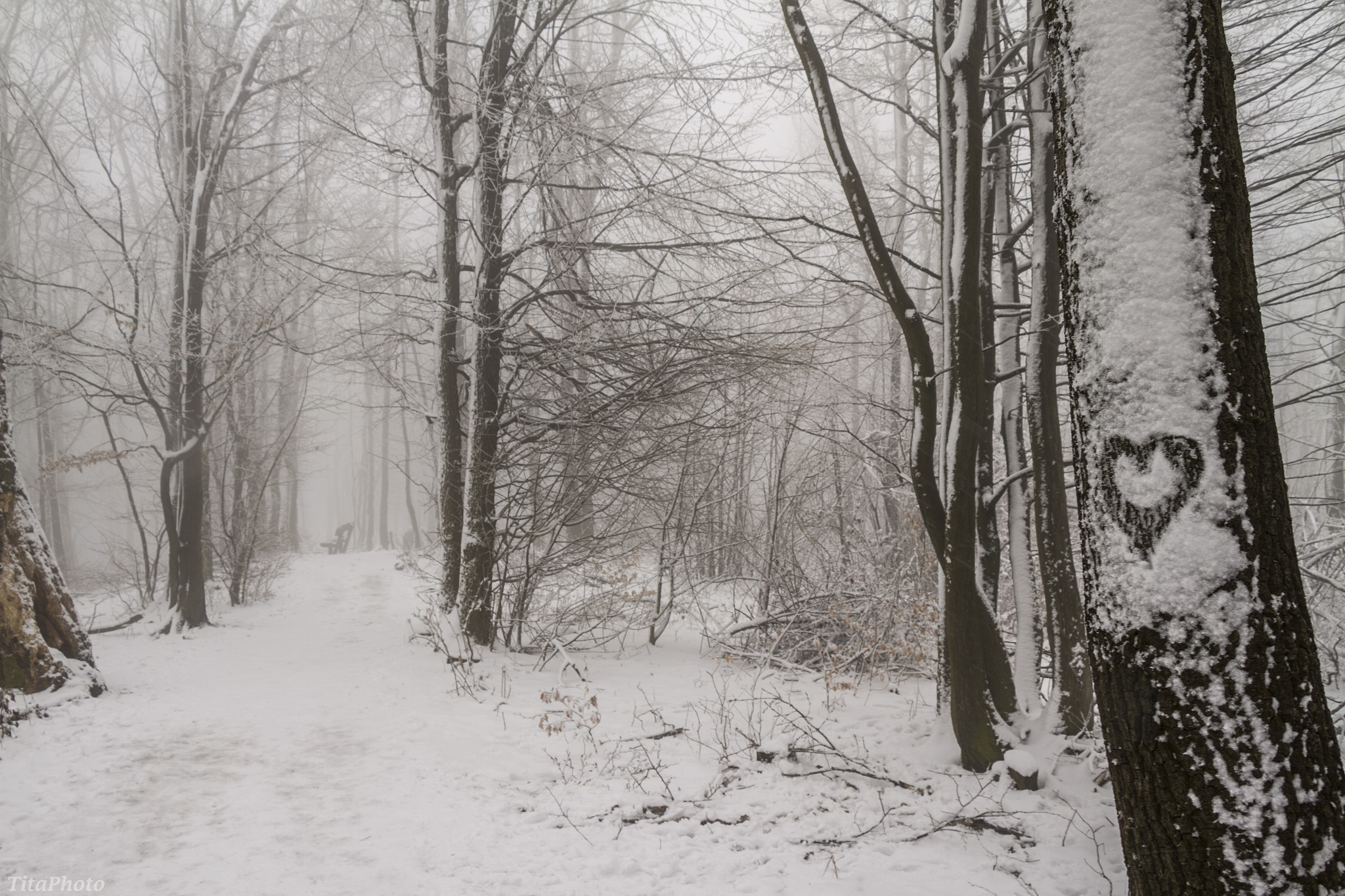 Canon EF-S 18-135mm F3.5-5.6 IS STM sample photo. Winter love photography