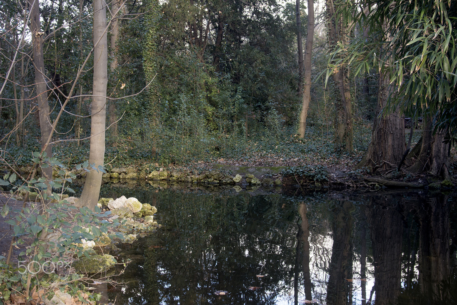 AF Zoom-Nikkor 28-80mm f/3.5-5.6D sample photo. Campo grande (valladolid) photography