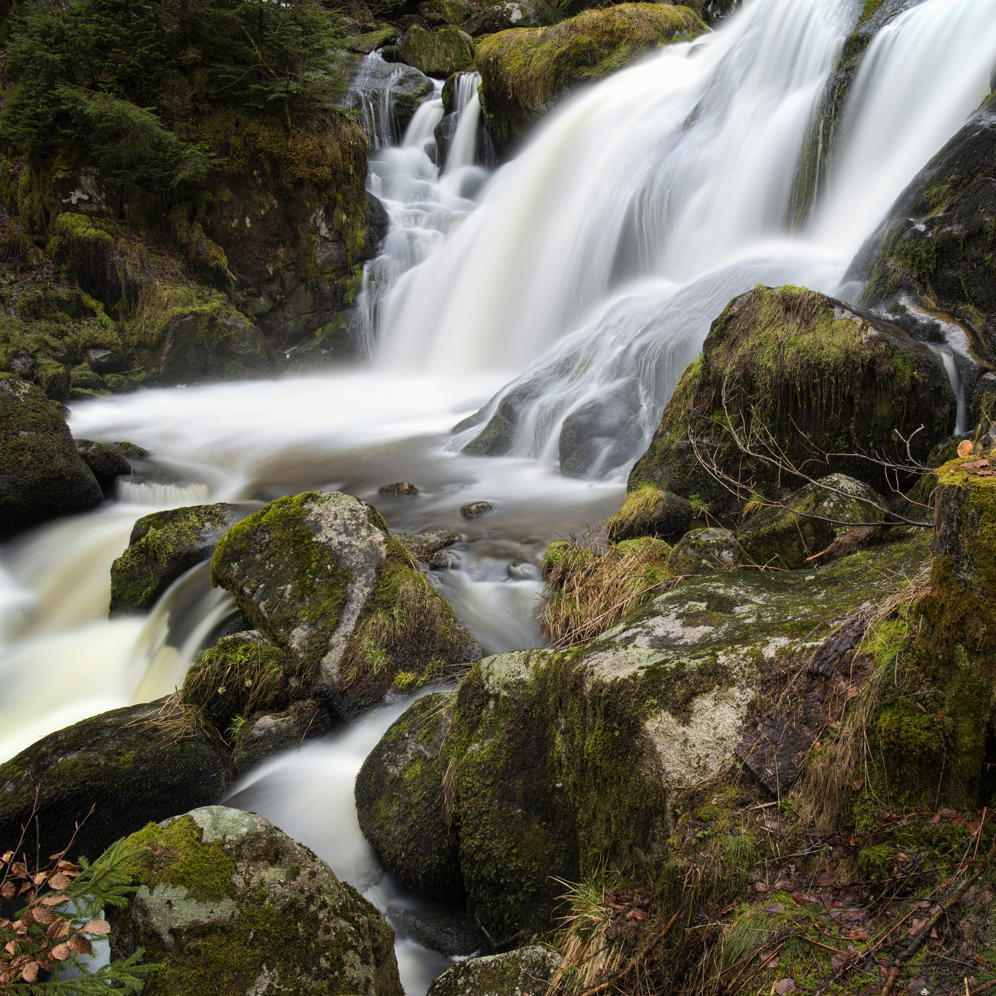 ZEISS Milvus 21mm F2.8 sample photo. Triberg waterfalls #1 photography
