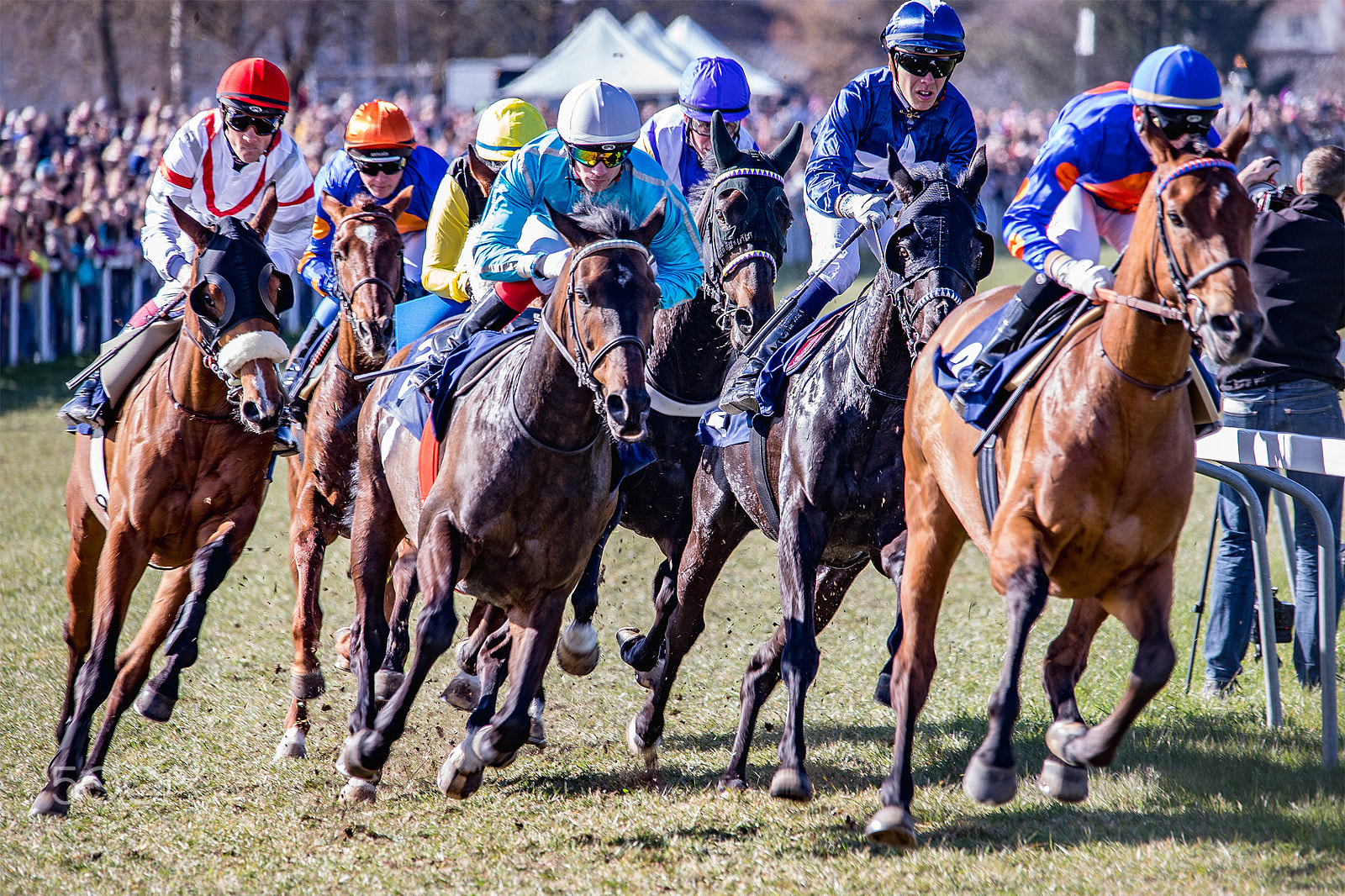 Sigma 150-500mm F5-6.3 DG OS HSM sample photo. Fehralturf photography