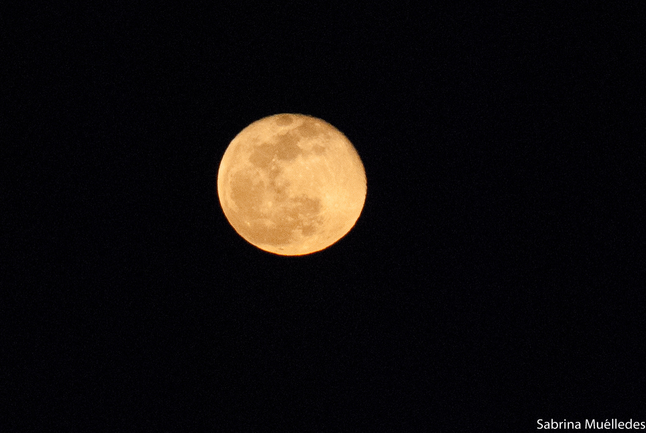 Nikon D80 + AF Nikkor 70-210mm f/4-5.6 sample photo. La luna de noche photography