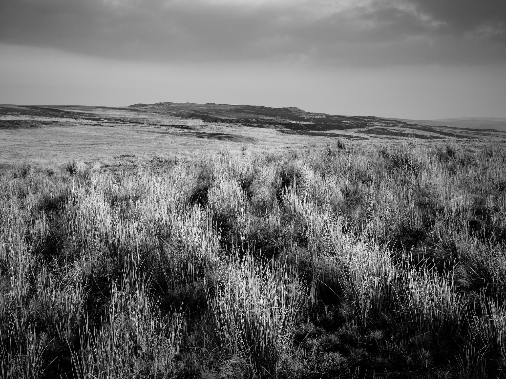 Olympus OM-D E-M10 II + Panasonic Lumix G 20mm F1.7 ASPH sample photo. Garn-yr-erw photography
